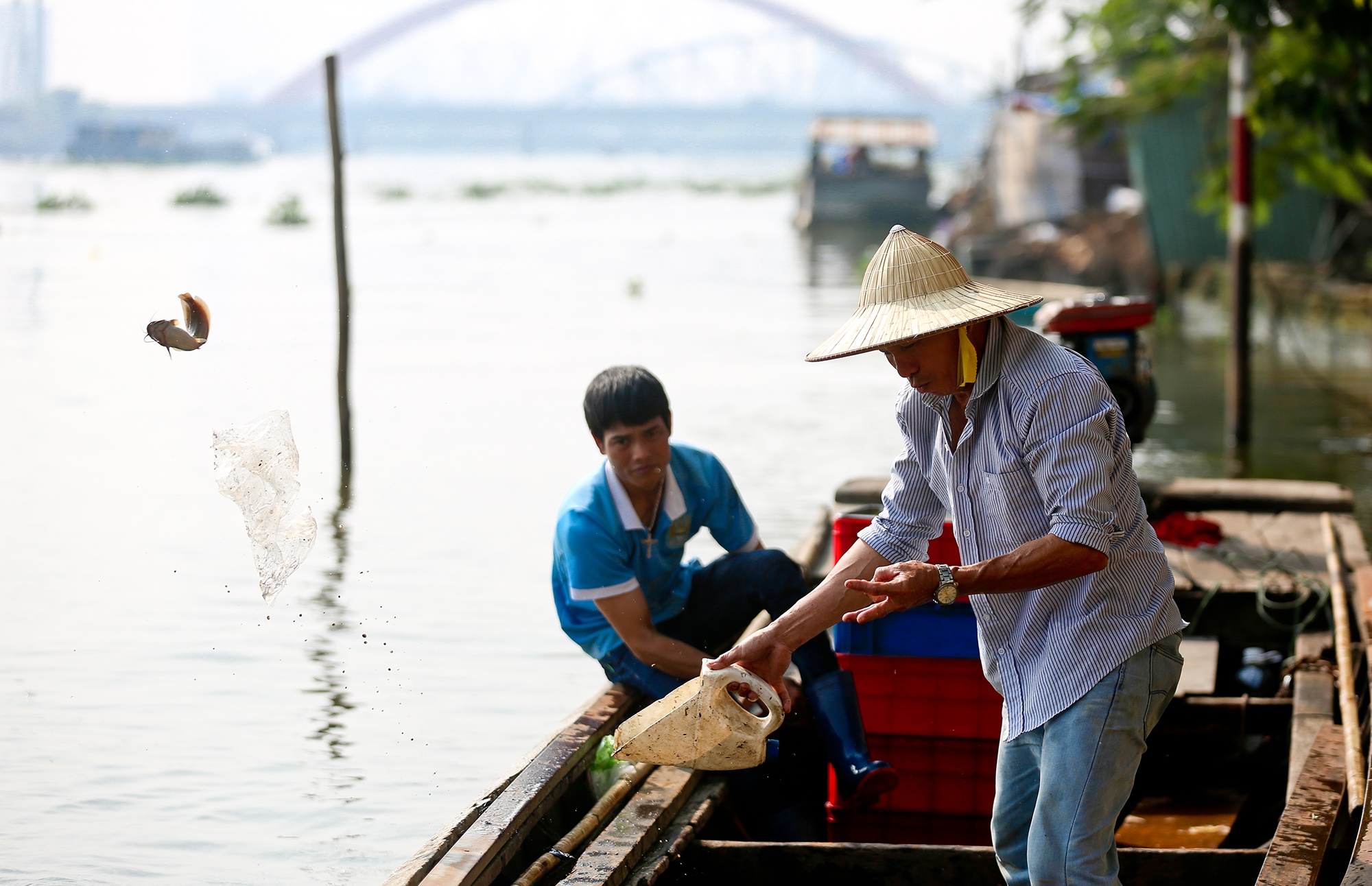 chich dien ca chep ngay ong Tao anh 7