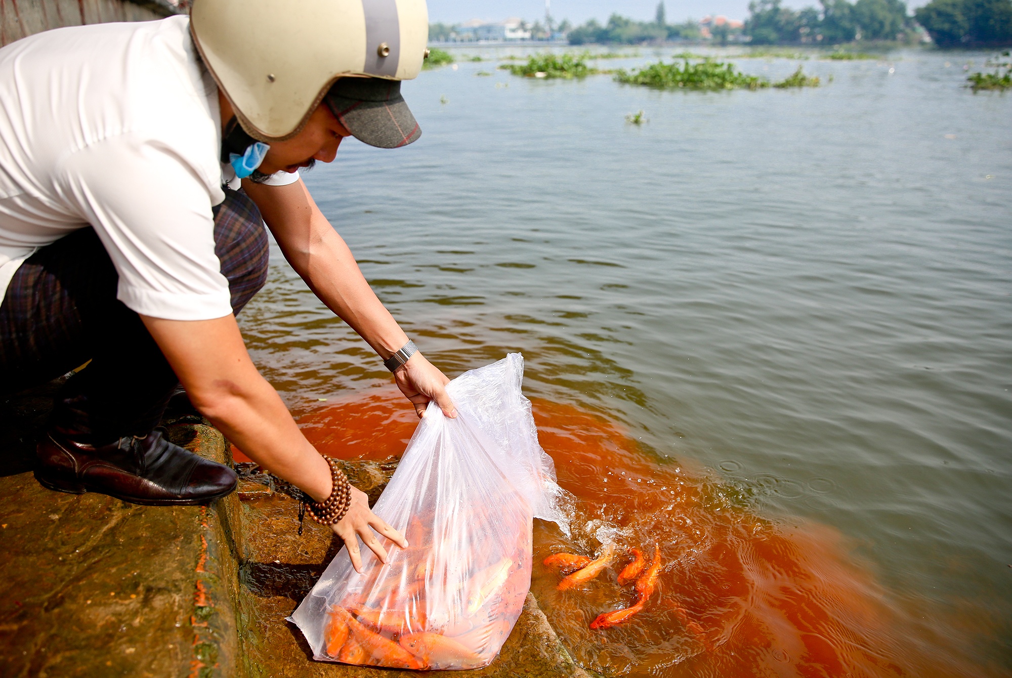 chich dien ca chep ngay ong Tao anh 8