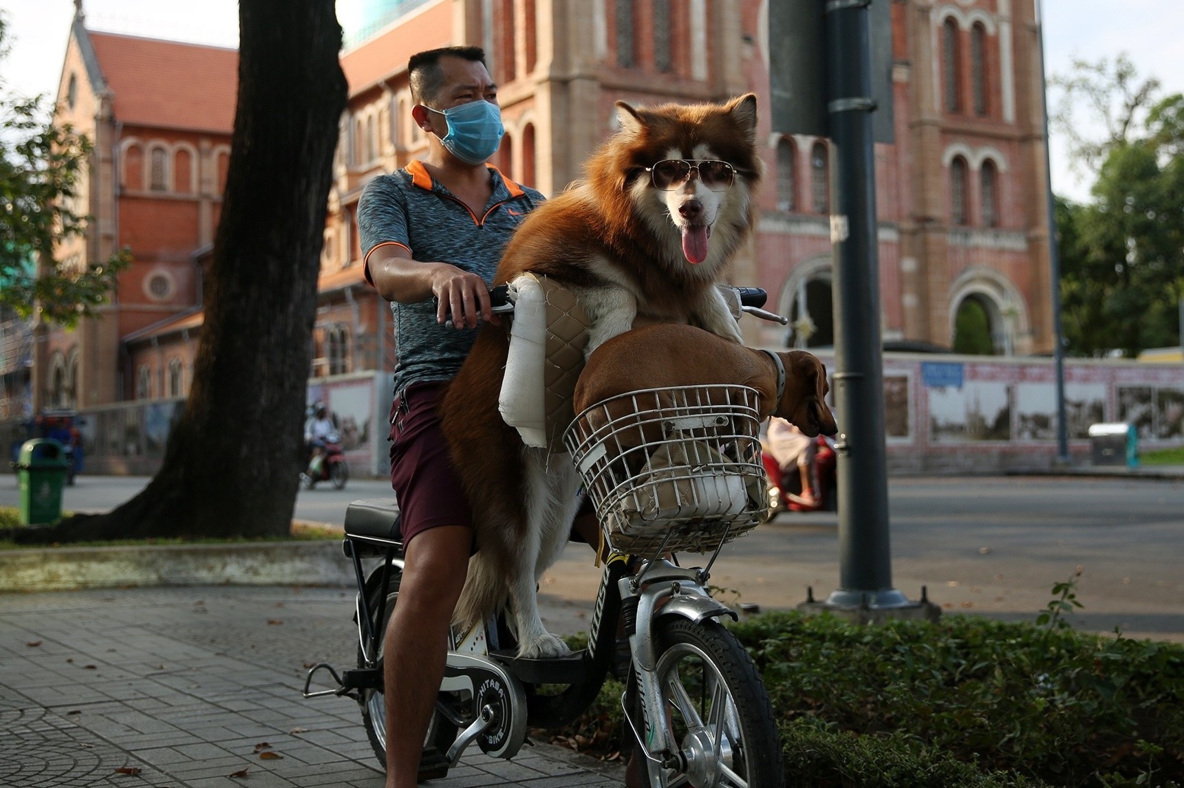 nguoi dan choi le 30/4 anh 2