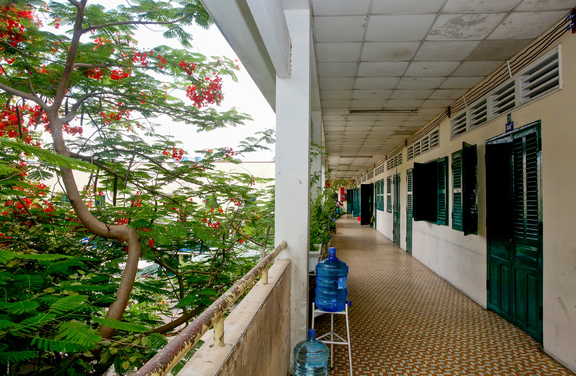 hoc sinh tro lai lop anh 9