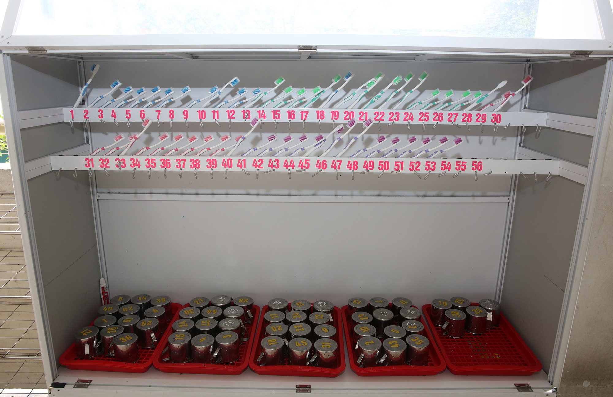 hoc sinh tro lai lop anh 8