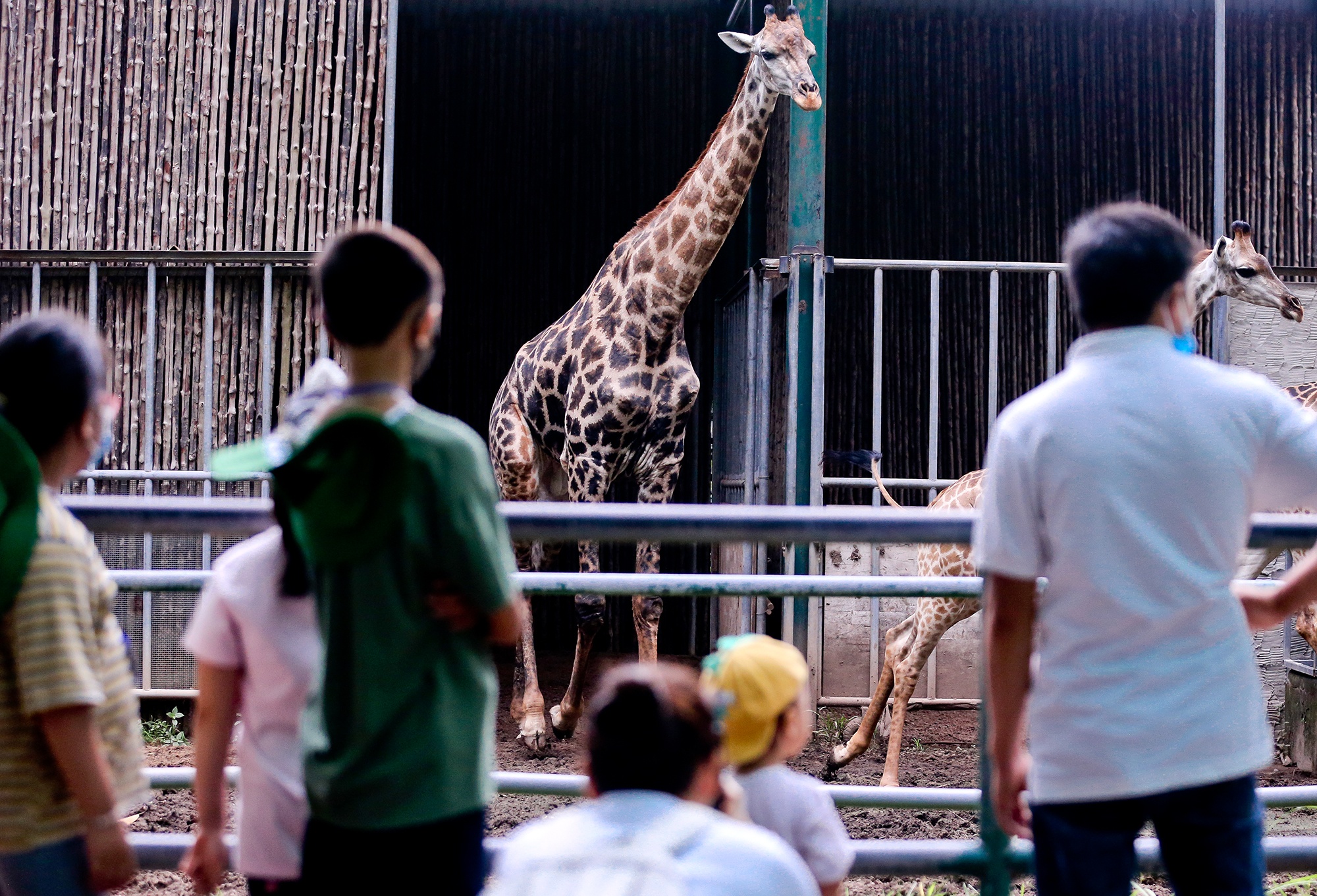 Thao Cam Vien anh 14