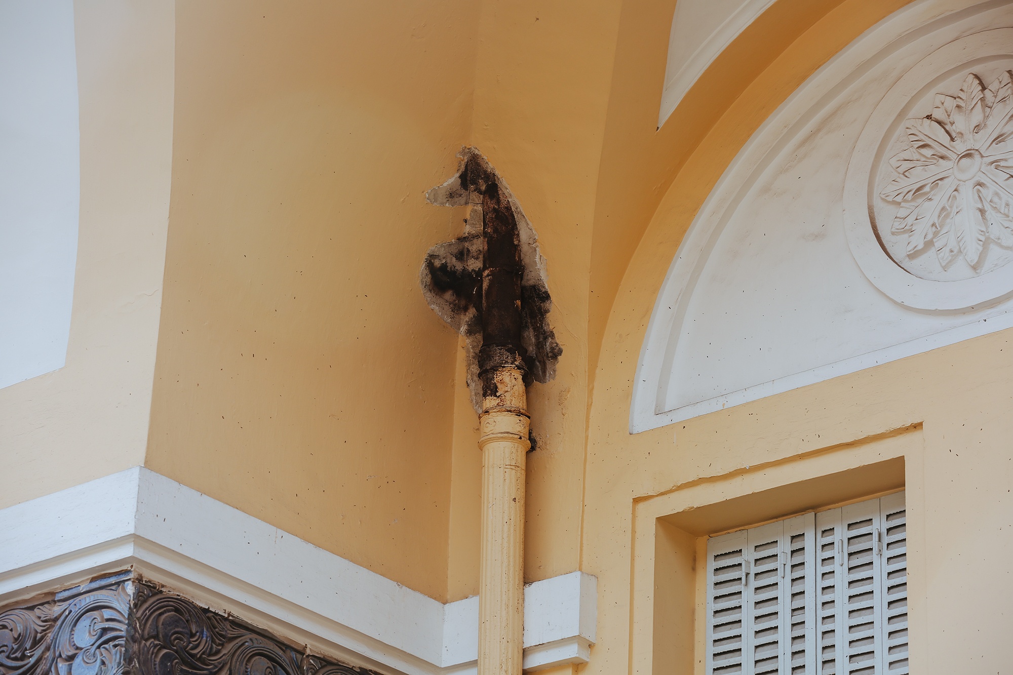 bao tang my thuat xuong cap anh 7