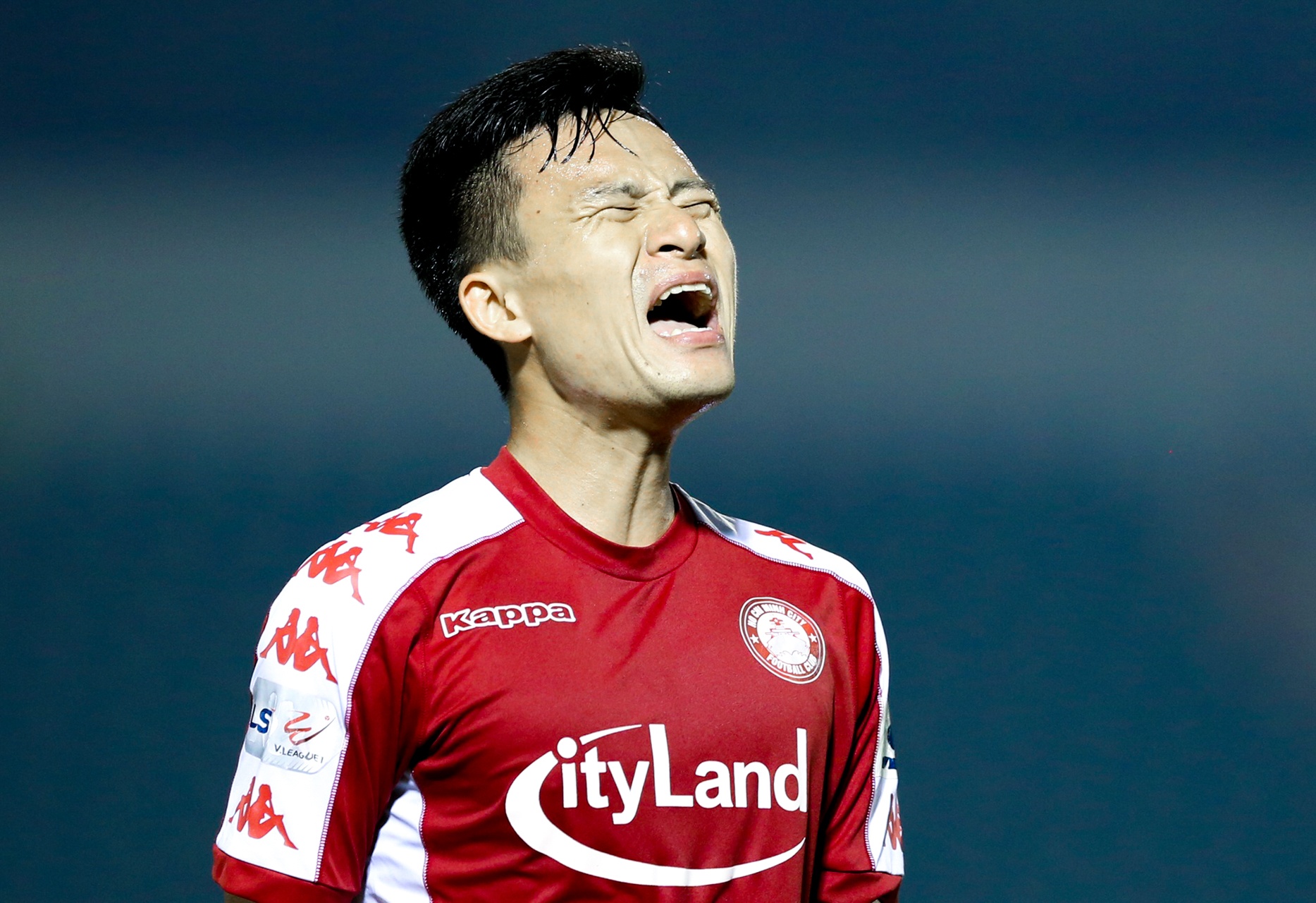 pham hoang lam anh 11