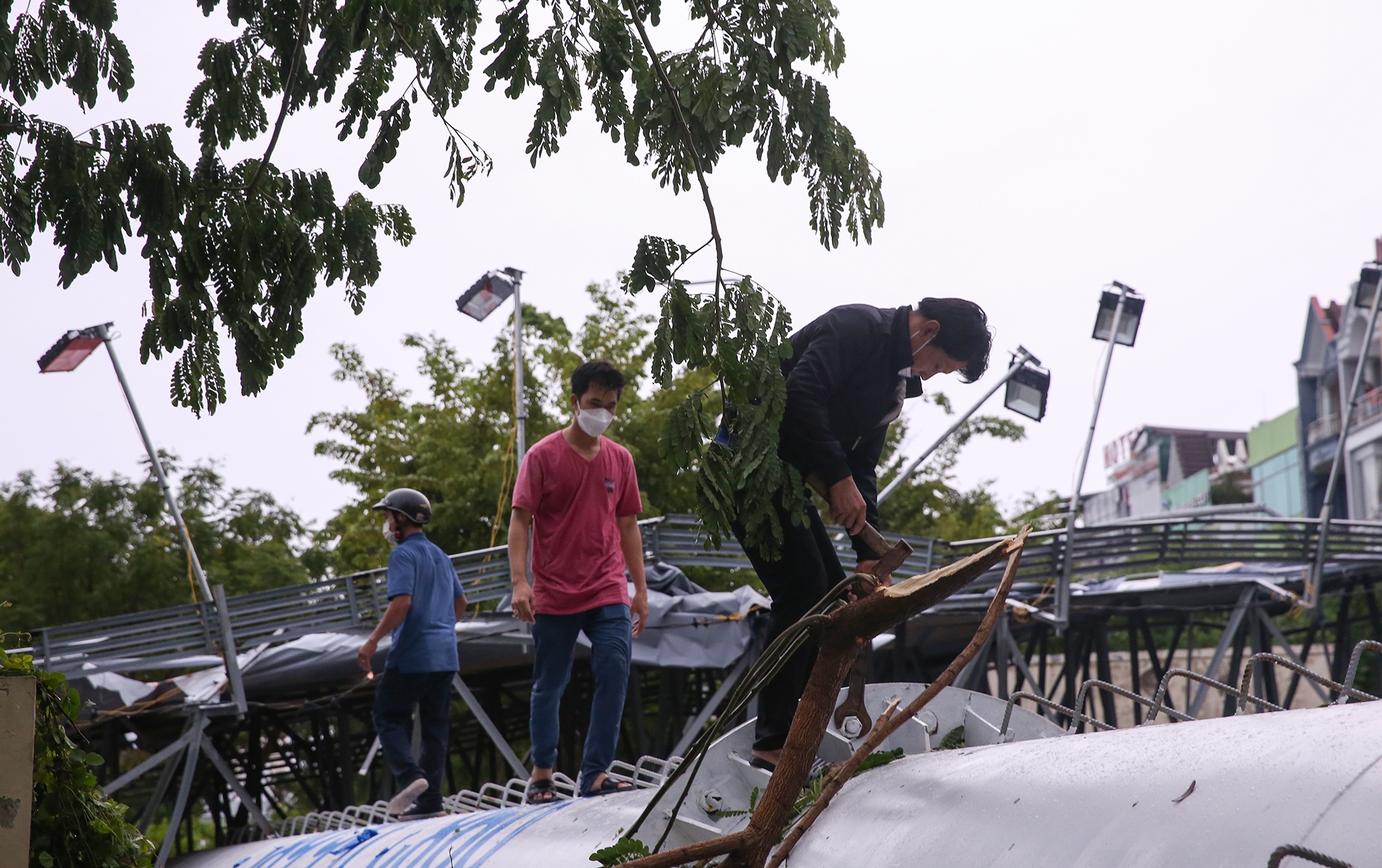 bang quang cao bi do anh 7