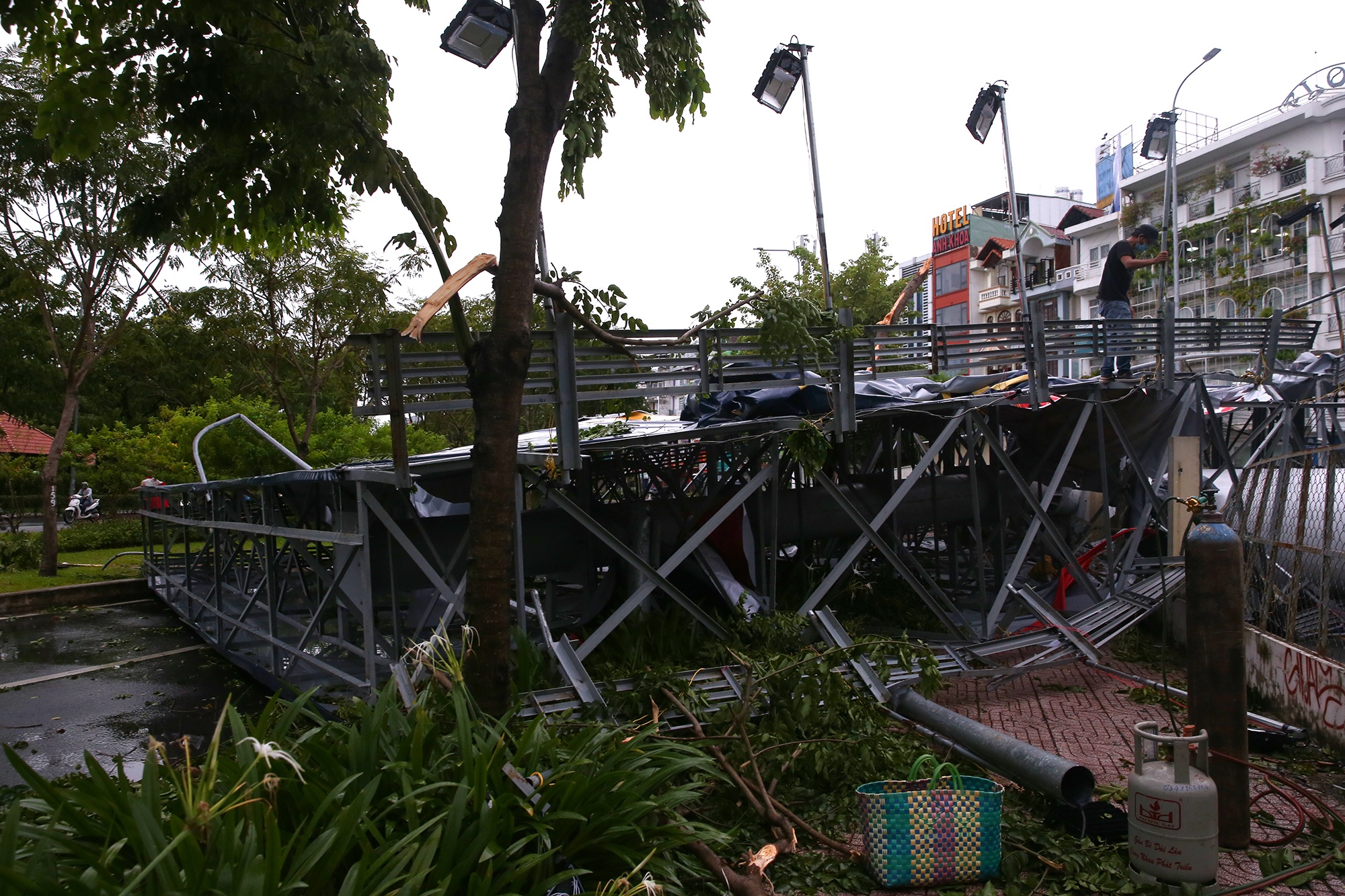 bang quang cao bi do anh 6