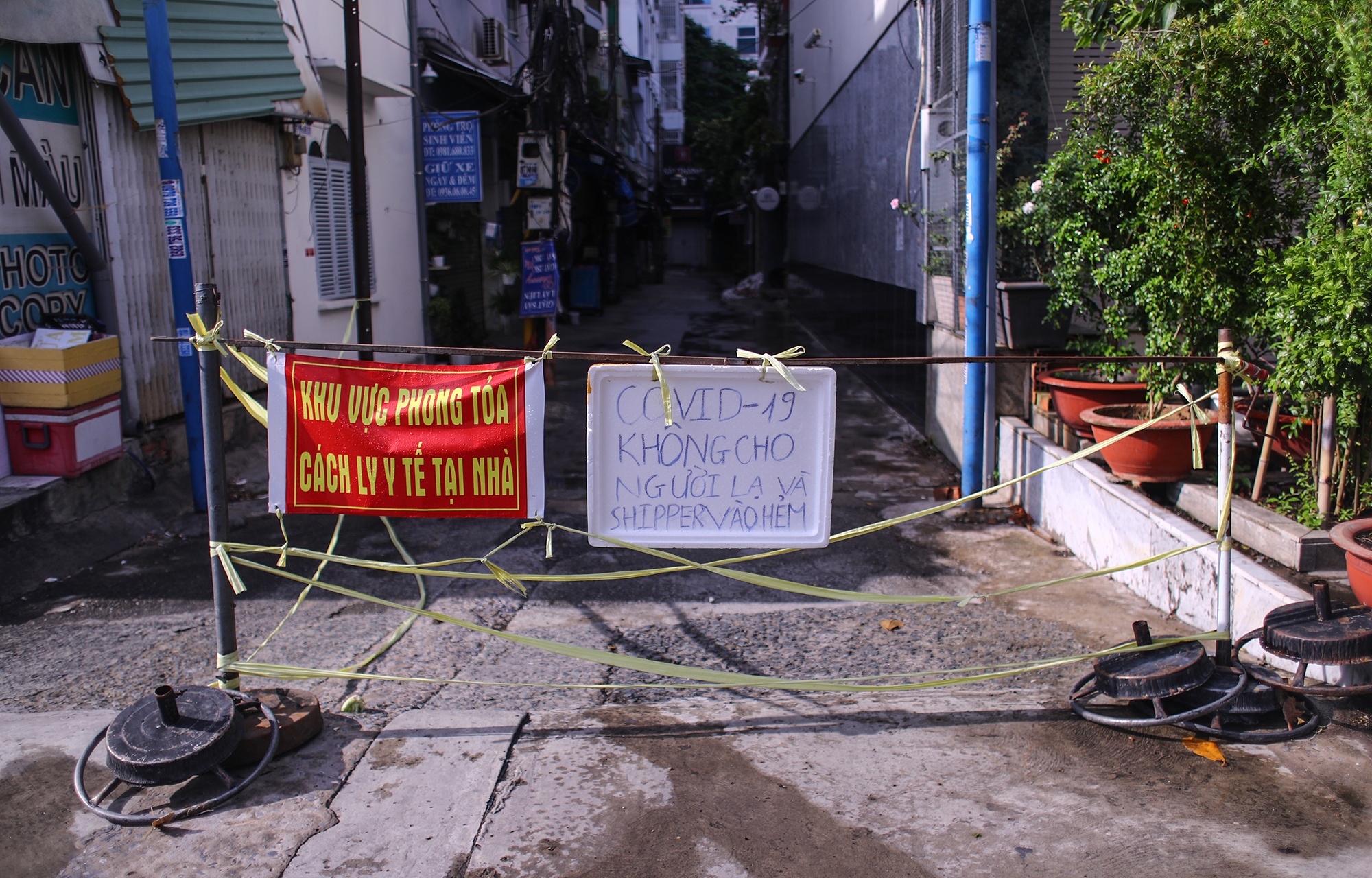 kem gai giang phong toa anh 3