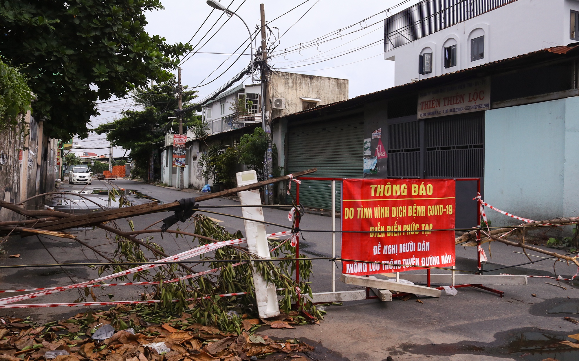 kem gai giang phong toa anh 5