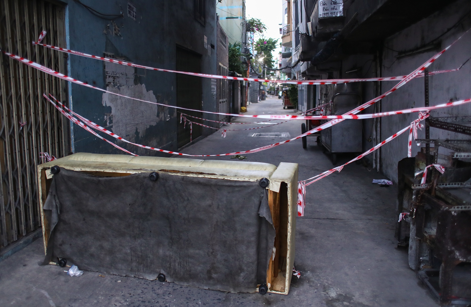 kem gai giang phong toa anh 6