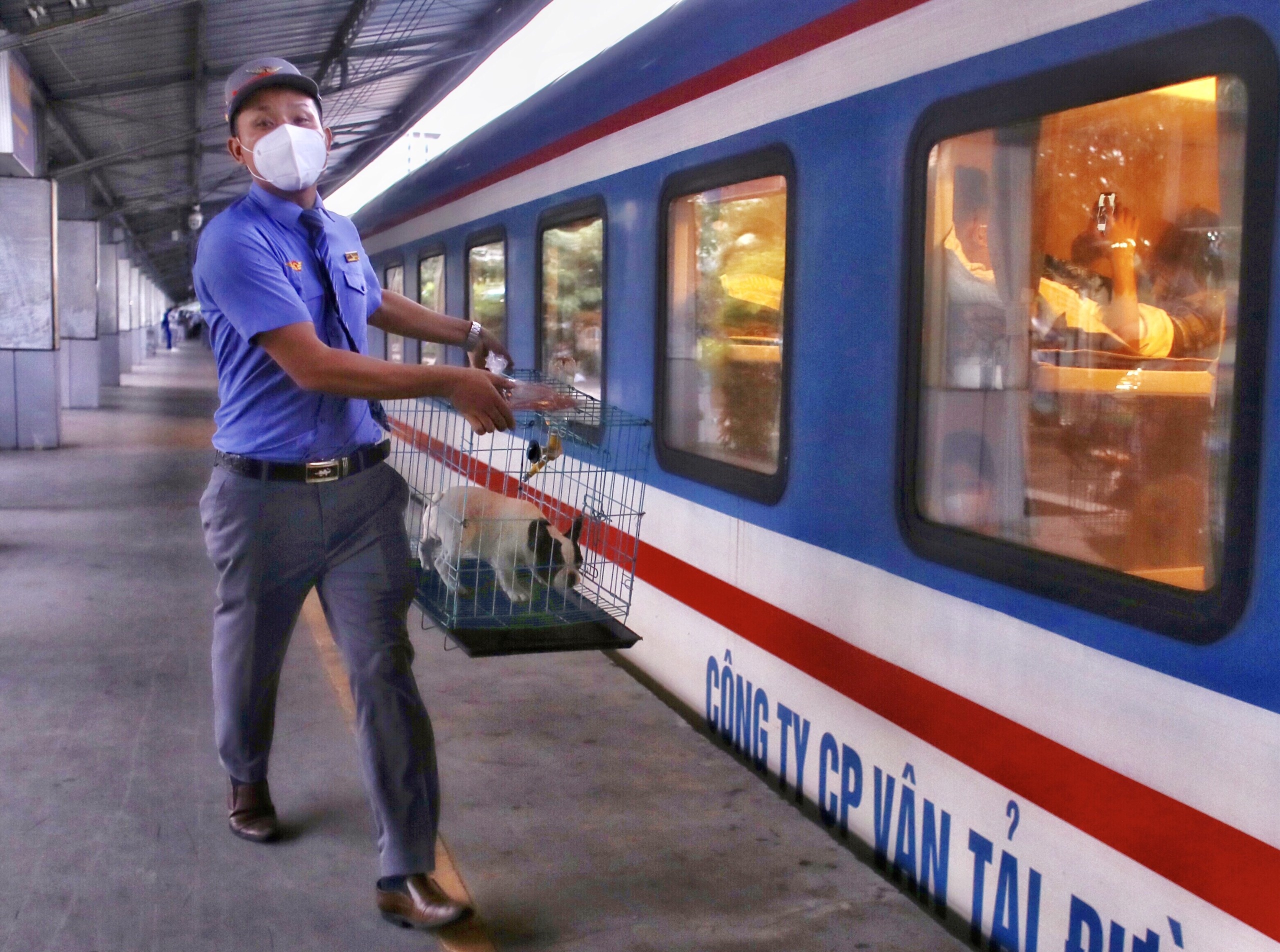 ga tau sai gon anh 11