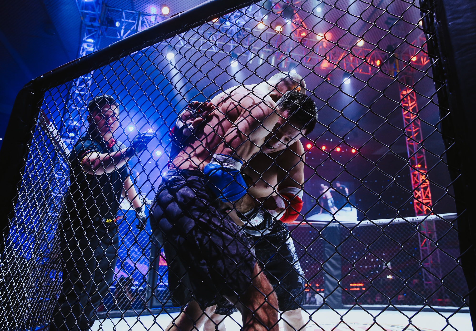 MMA anh 14