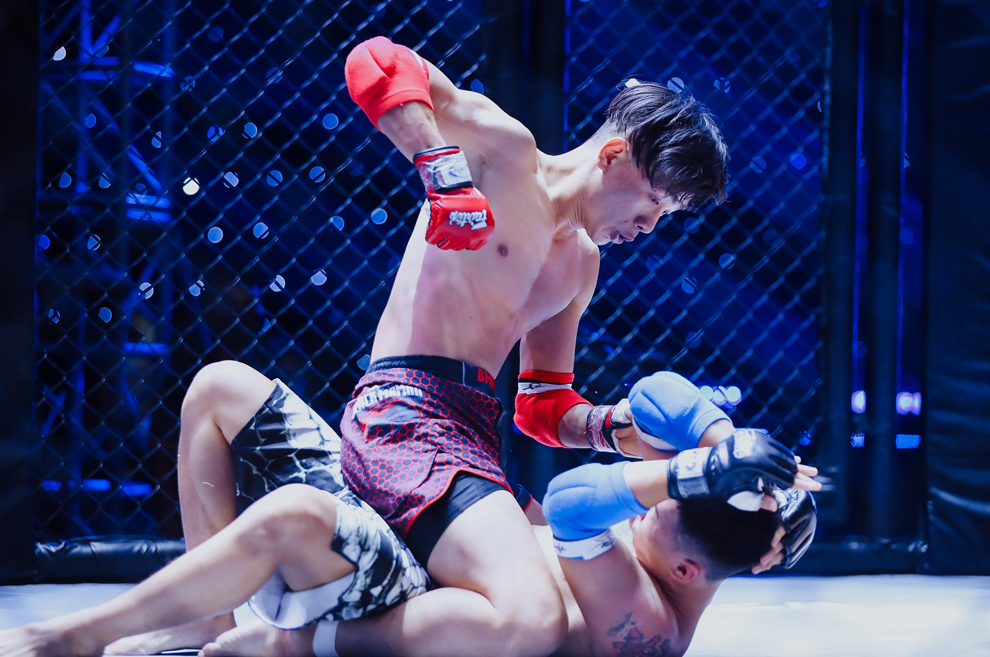 MMA anh 5