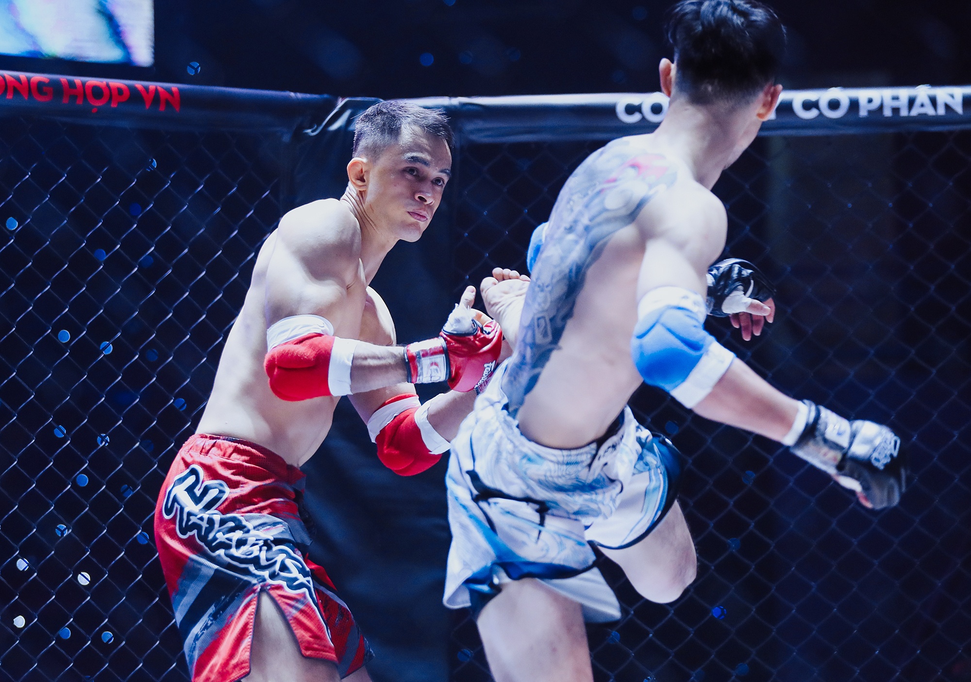 MMA anh 9