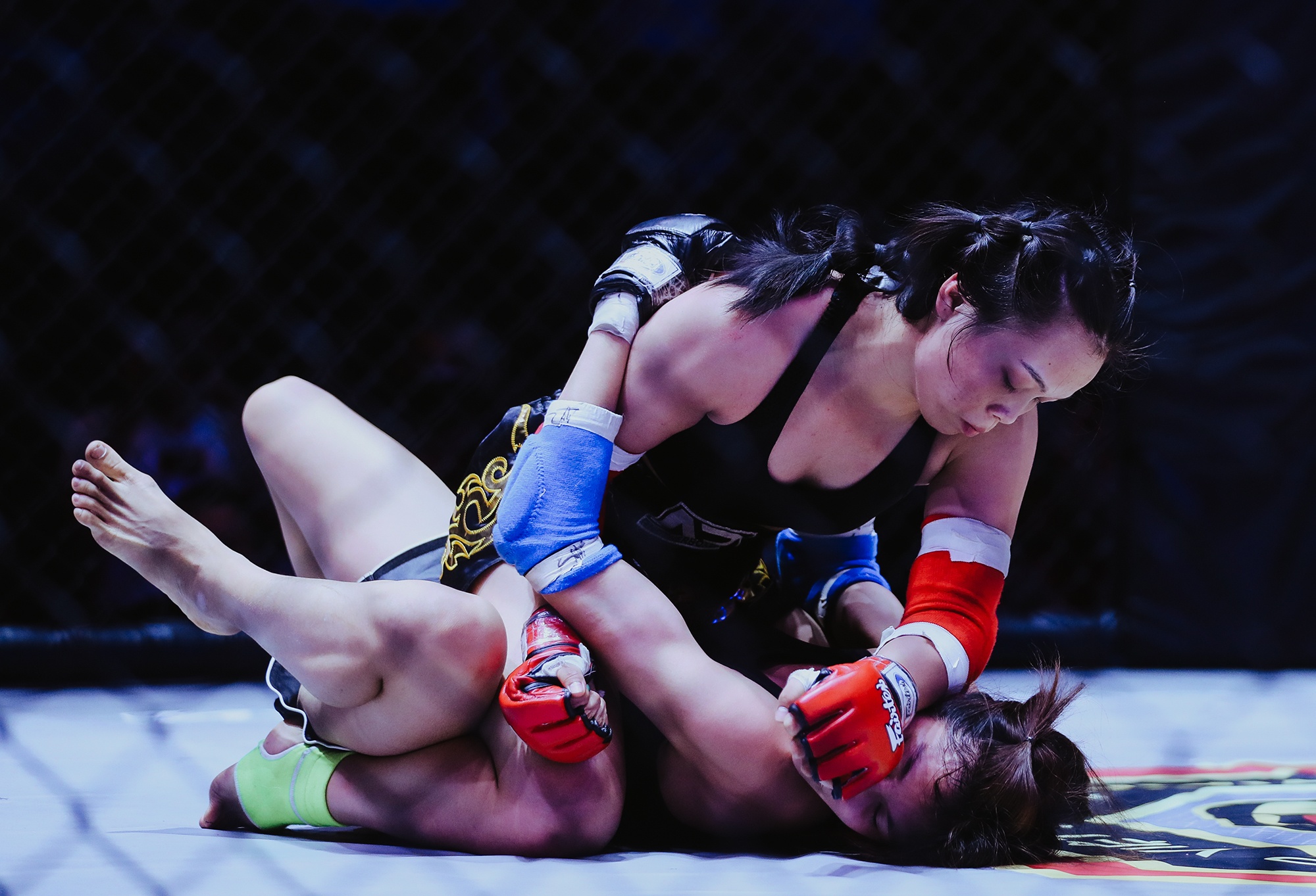 MMA anh 11