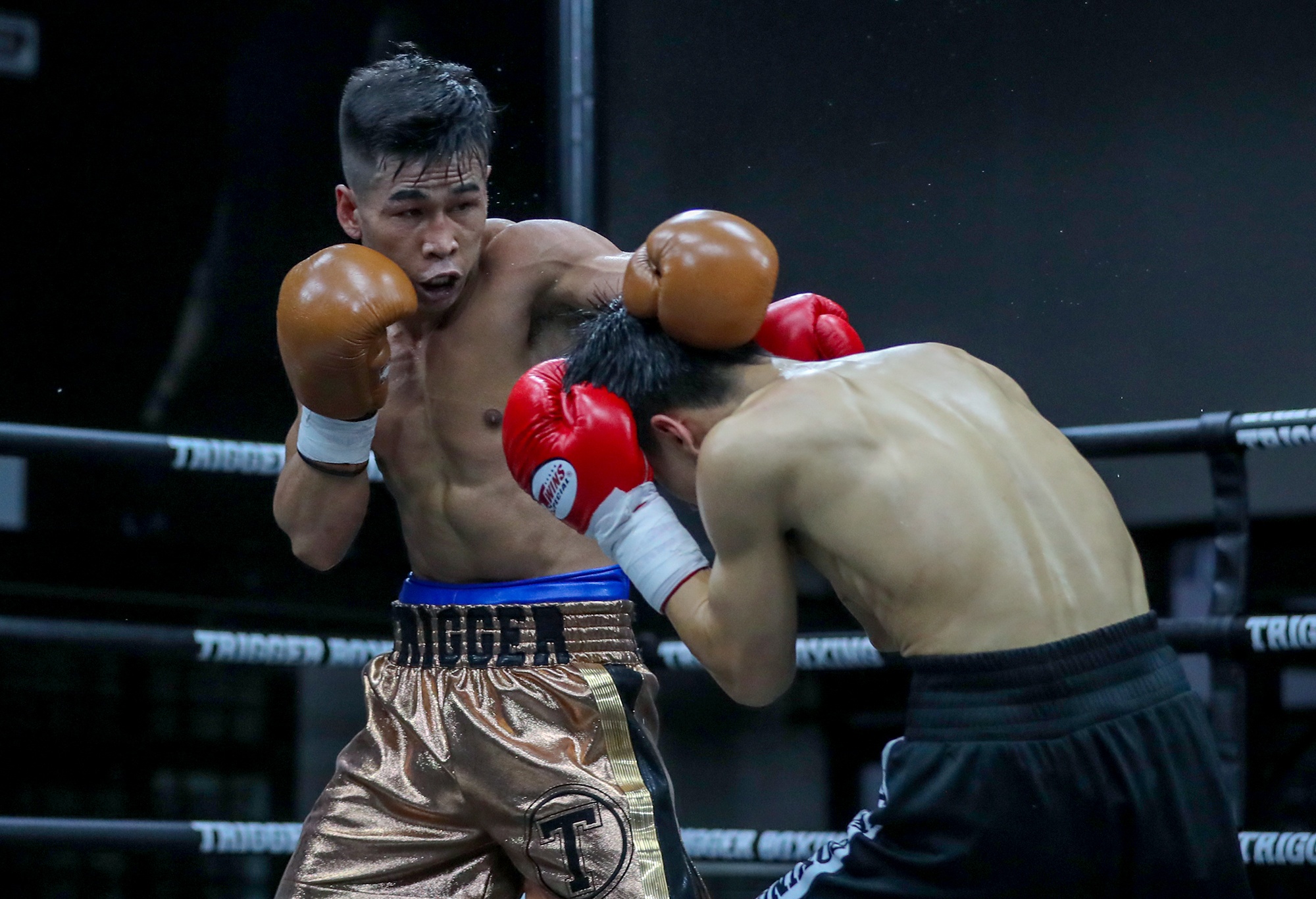 tran van thao anh 10