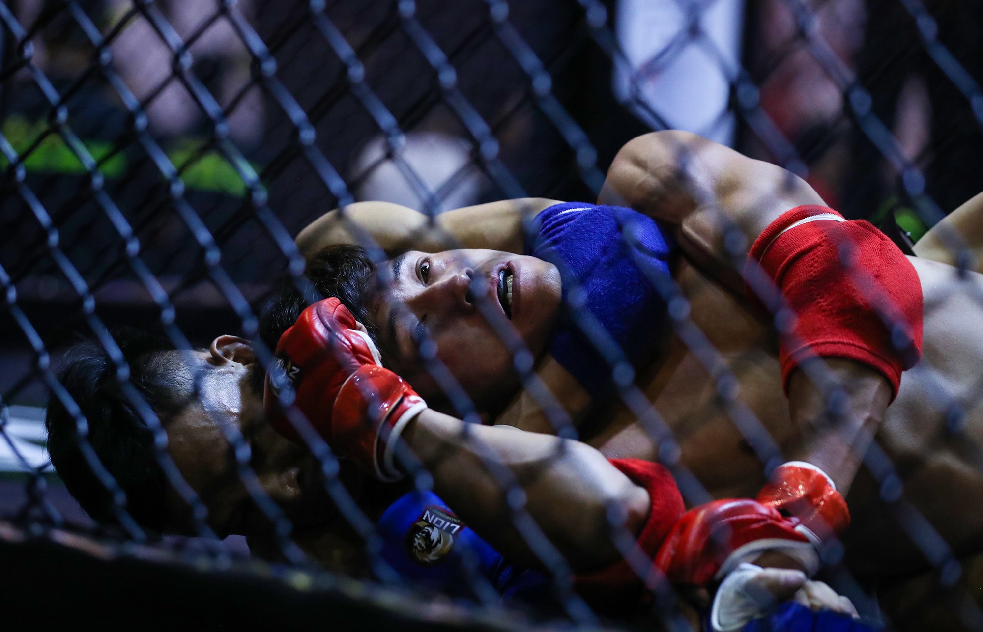 Dang cap cua Nguyen Tran Duy Nhat tai giai MMA Viet Nam hinh anh