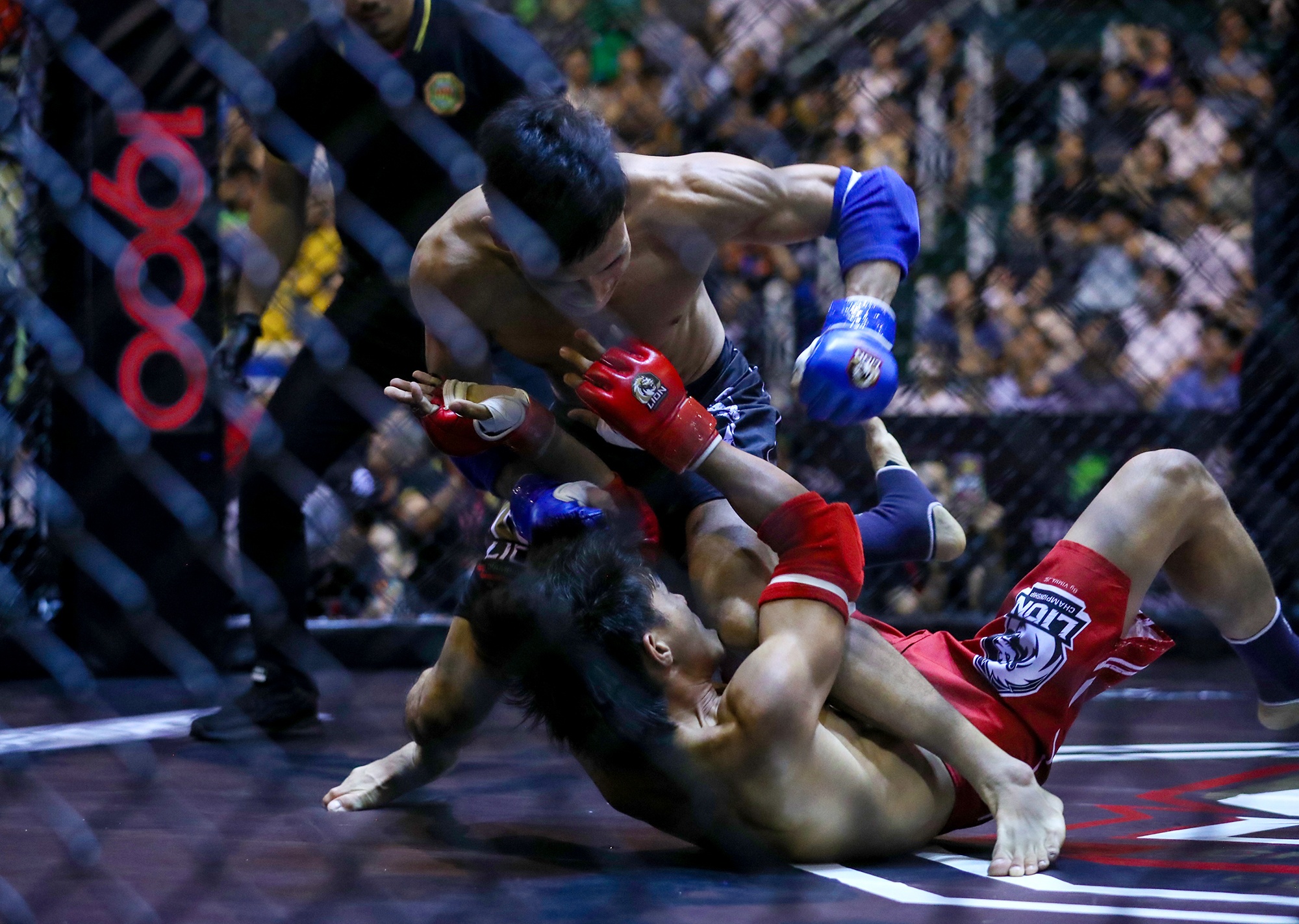 nguyen tran duy nhat anh 2