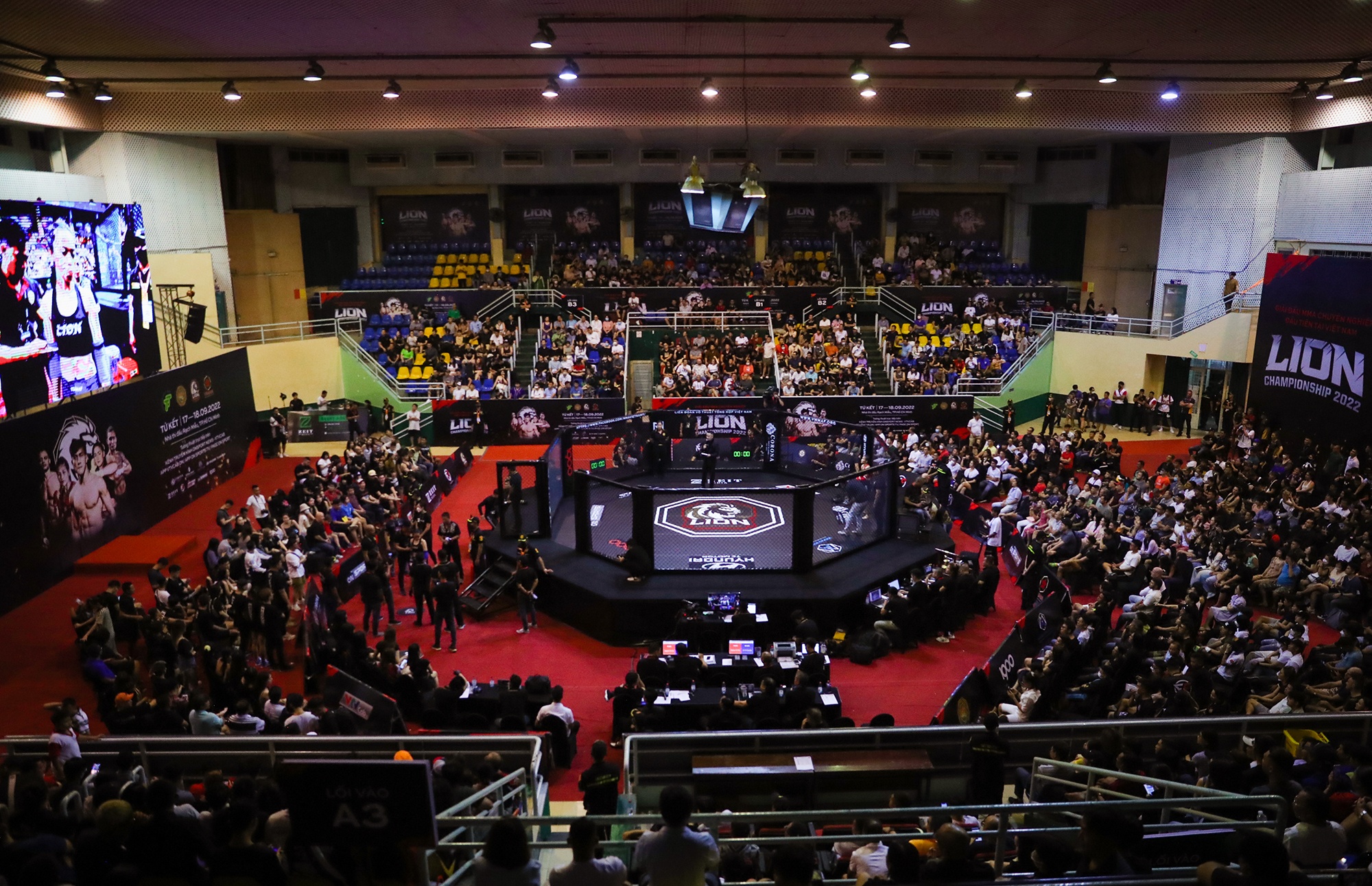 MMA Viet Nam anh 1