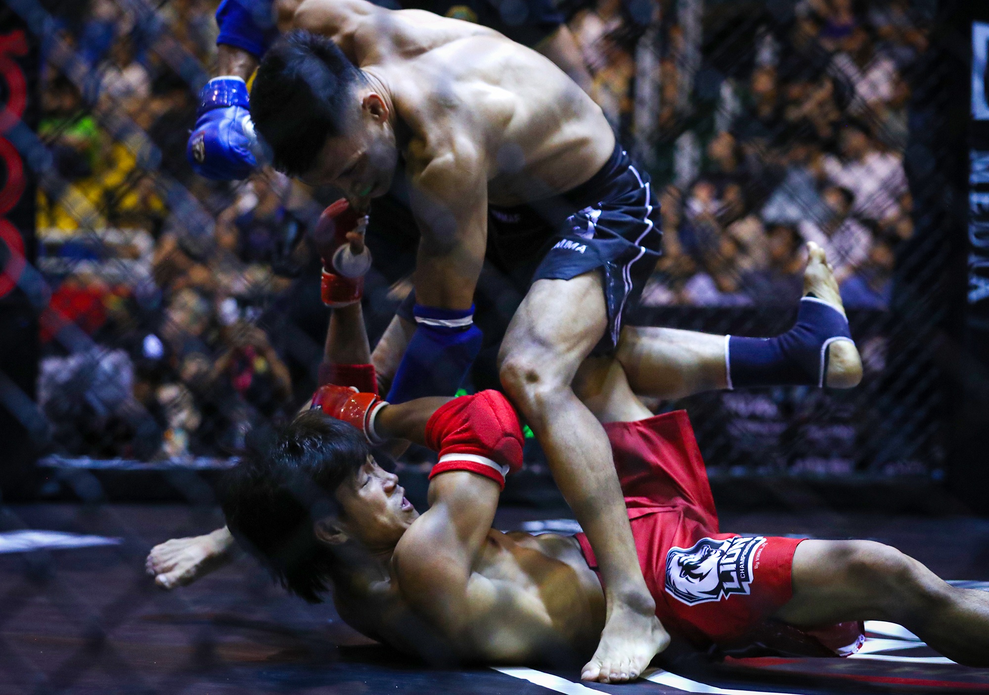MMA Viet Nam anh 6