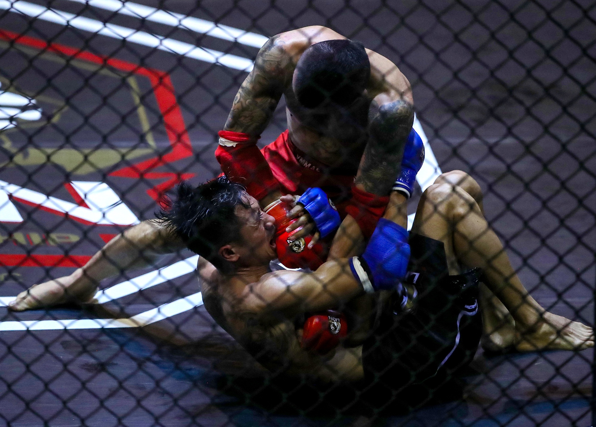 johnny tri nguyen anh 6