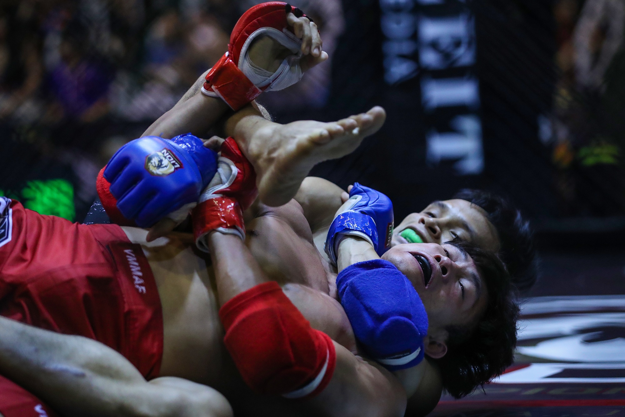 nguyen tran duy nhat anh 1