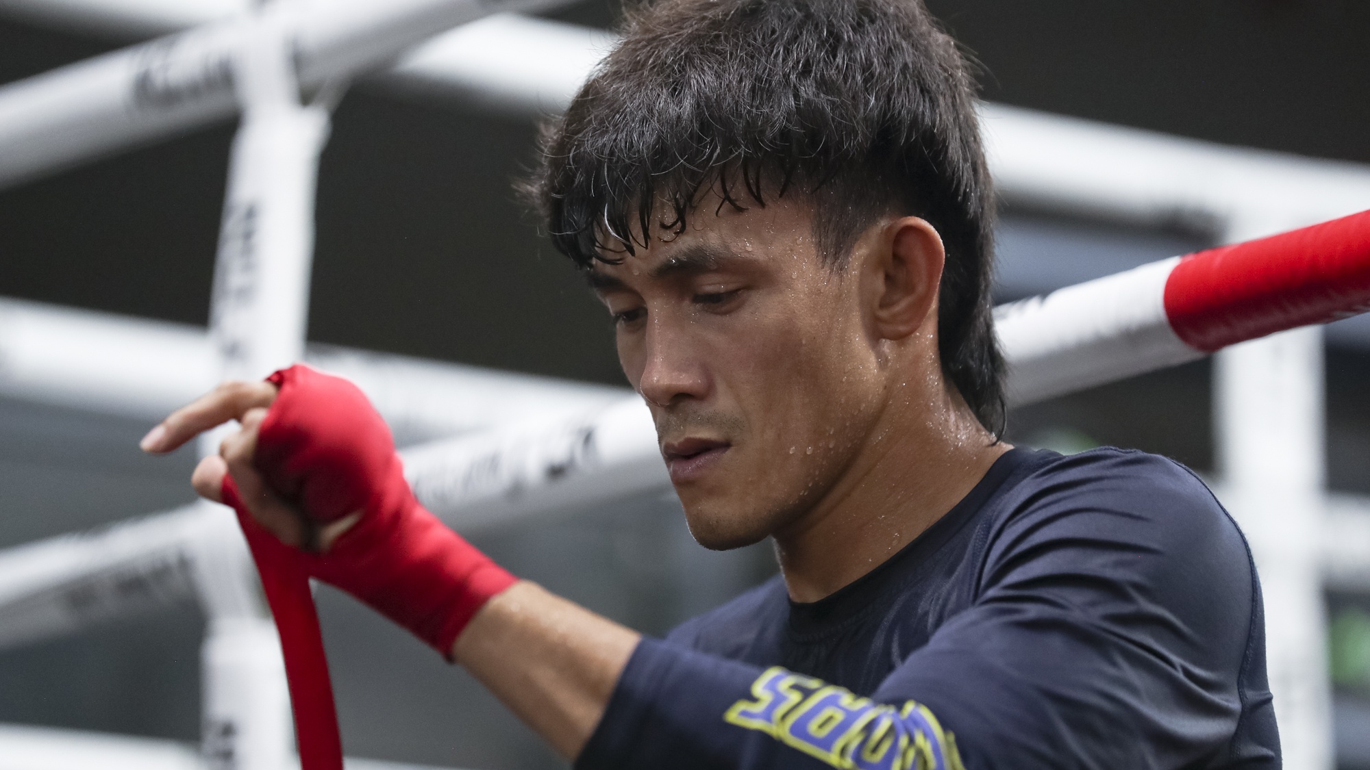 nguyen tran duy nhat anh 10