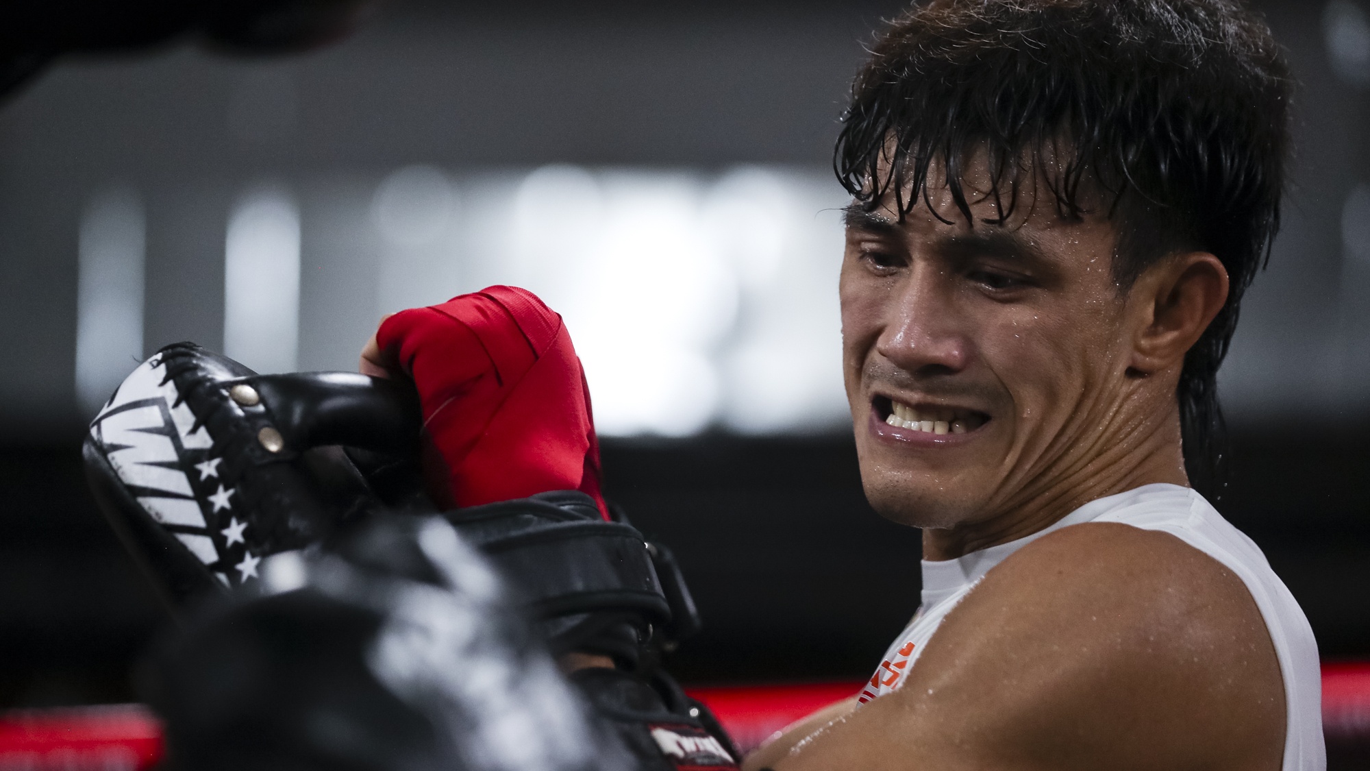 nguyen tran duy nhat anh 5