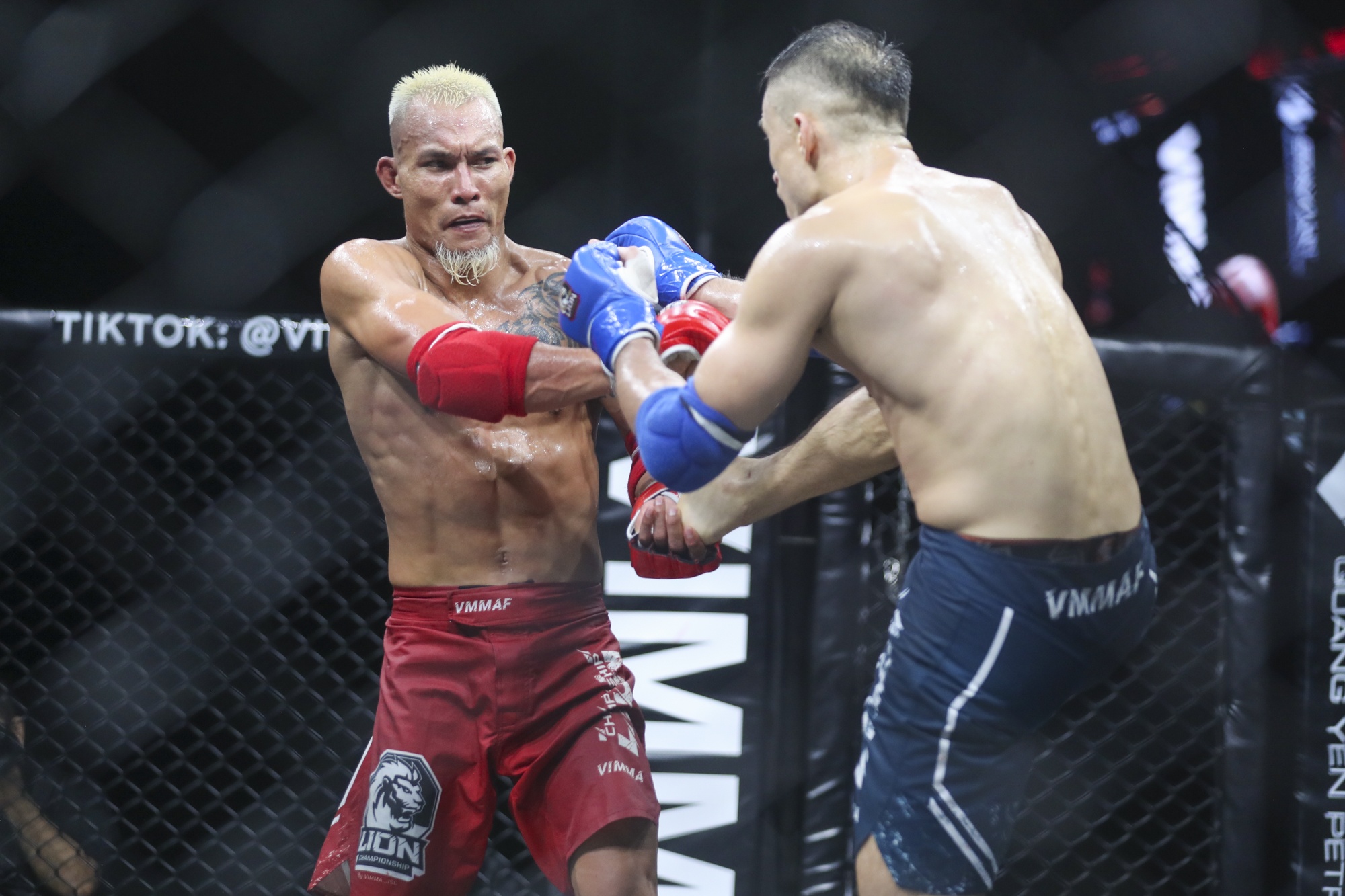 Johnny Tri Nguyen anh 10