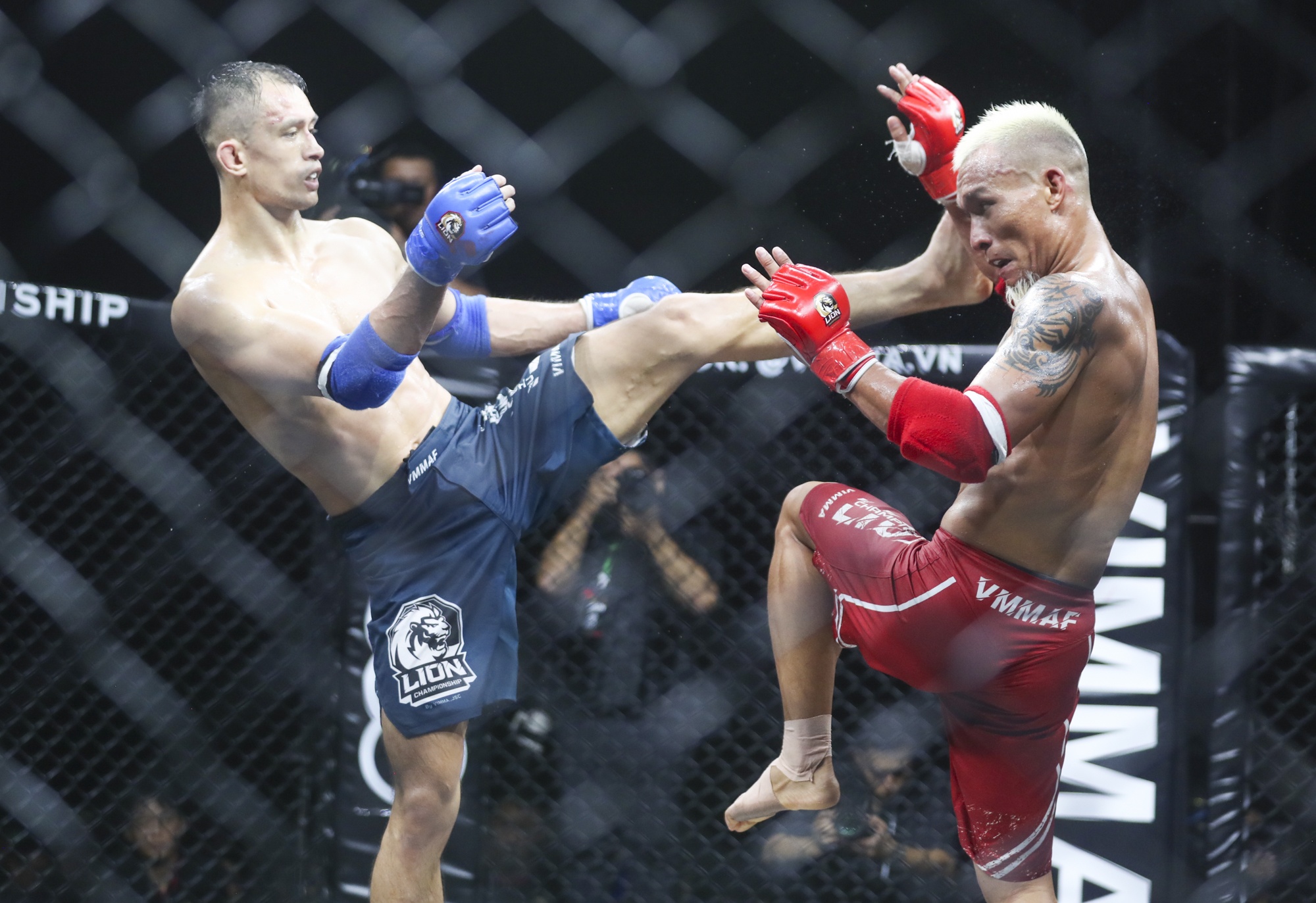 Johnny Tri Nguyen anh 5