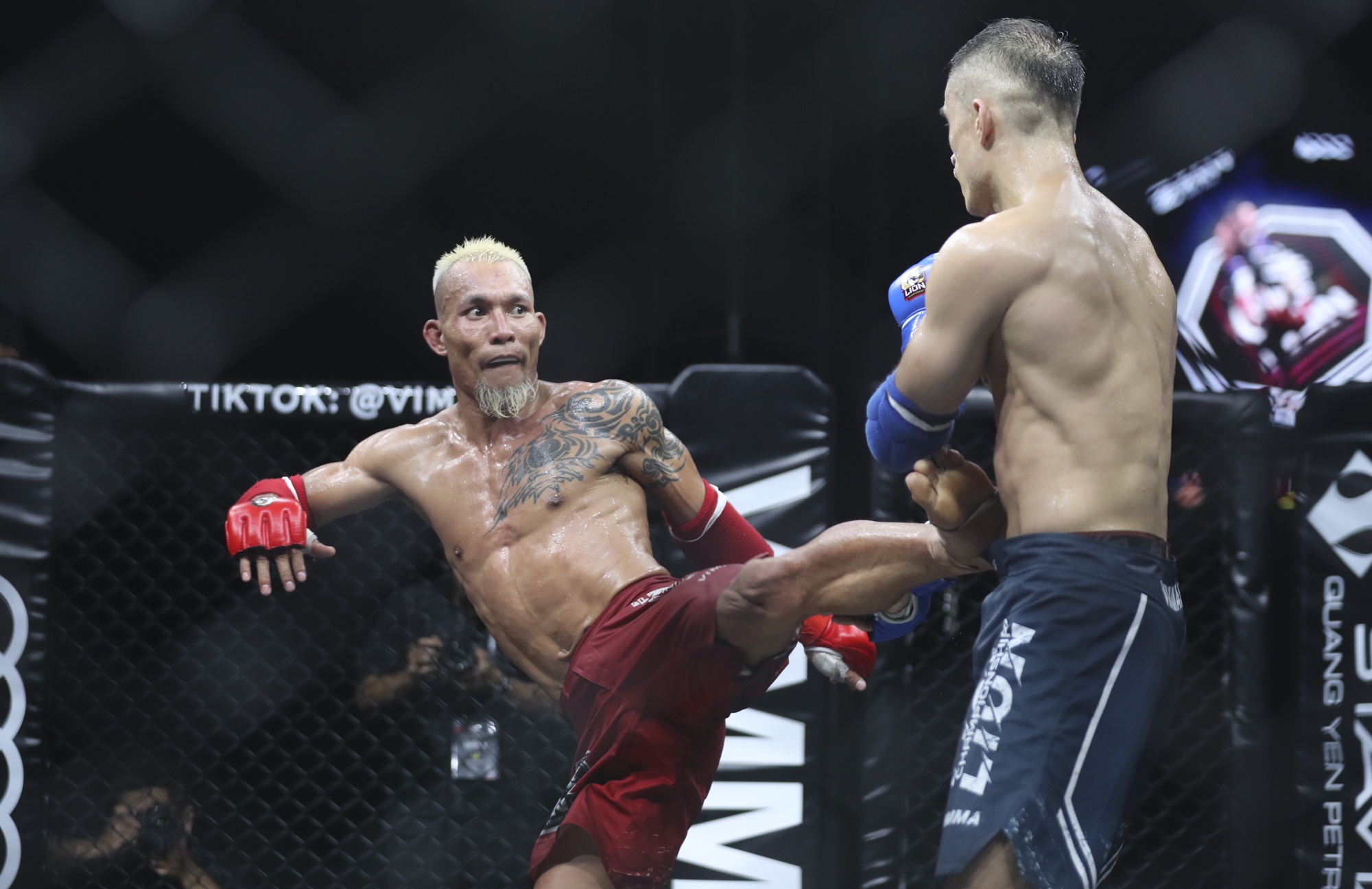 Johnny Tri Nguyen anh 8