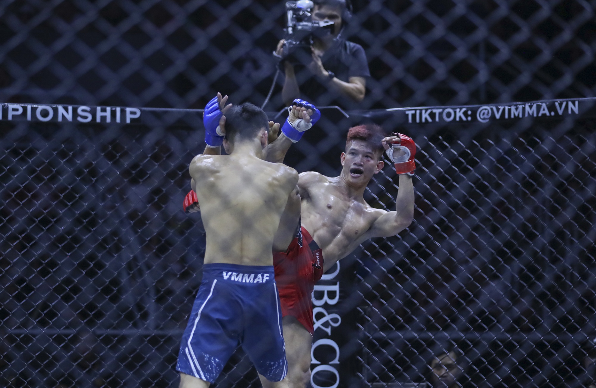 Johnny Tri Nguyen anh 3