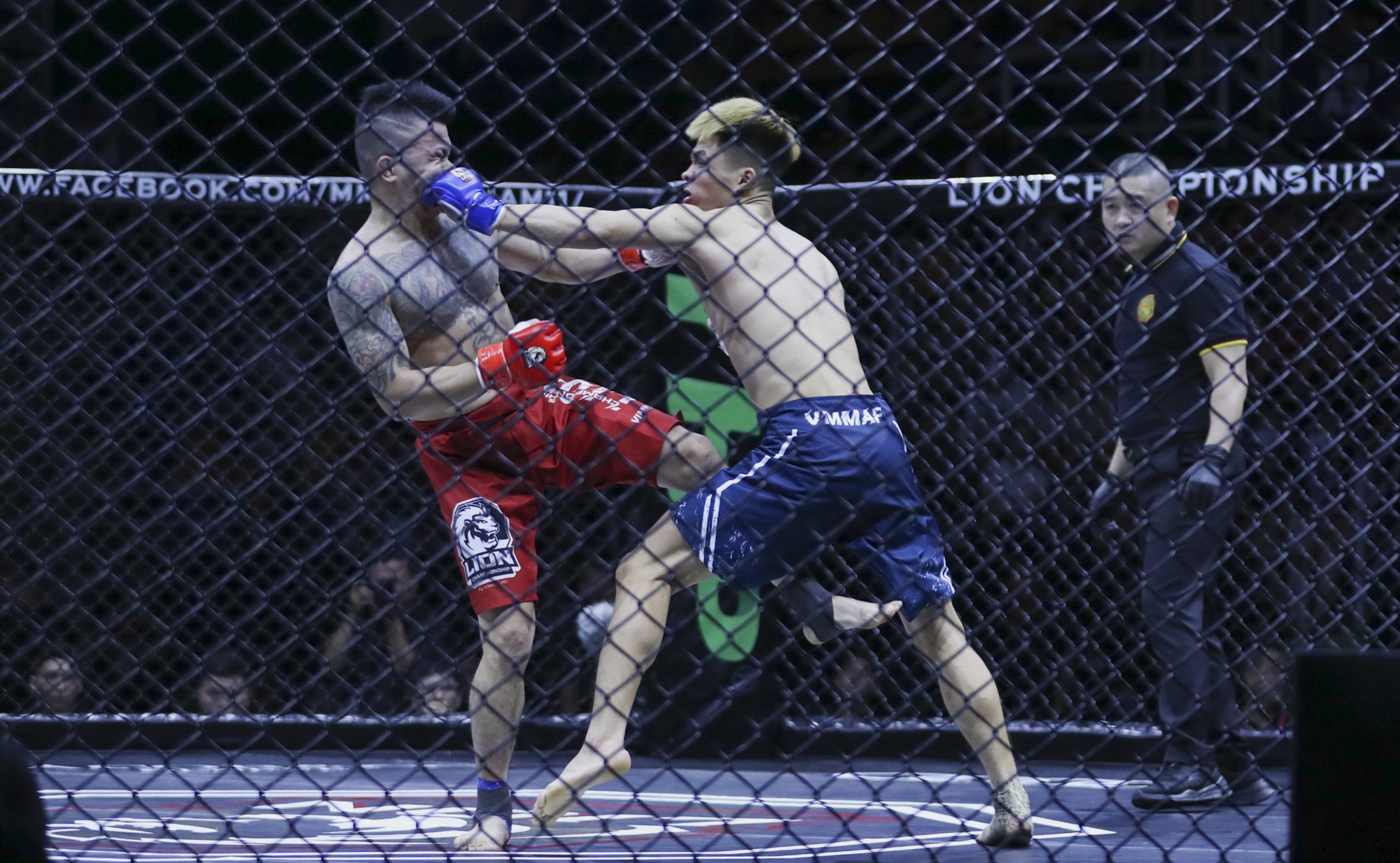 Johnny Tri Nguyen anh 9