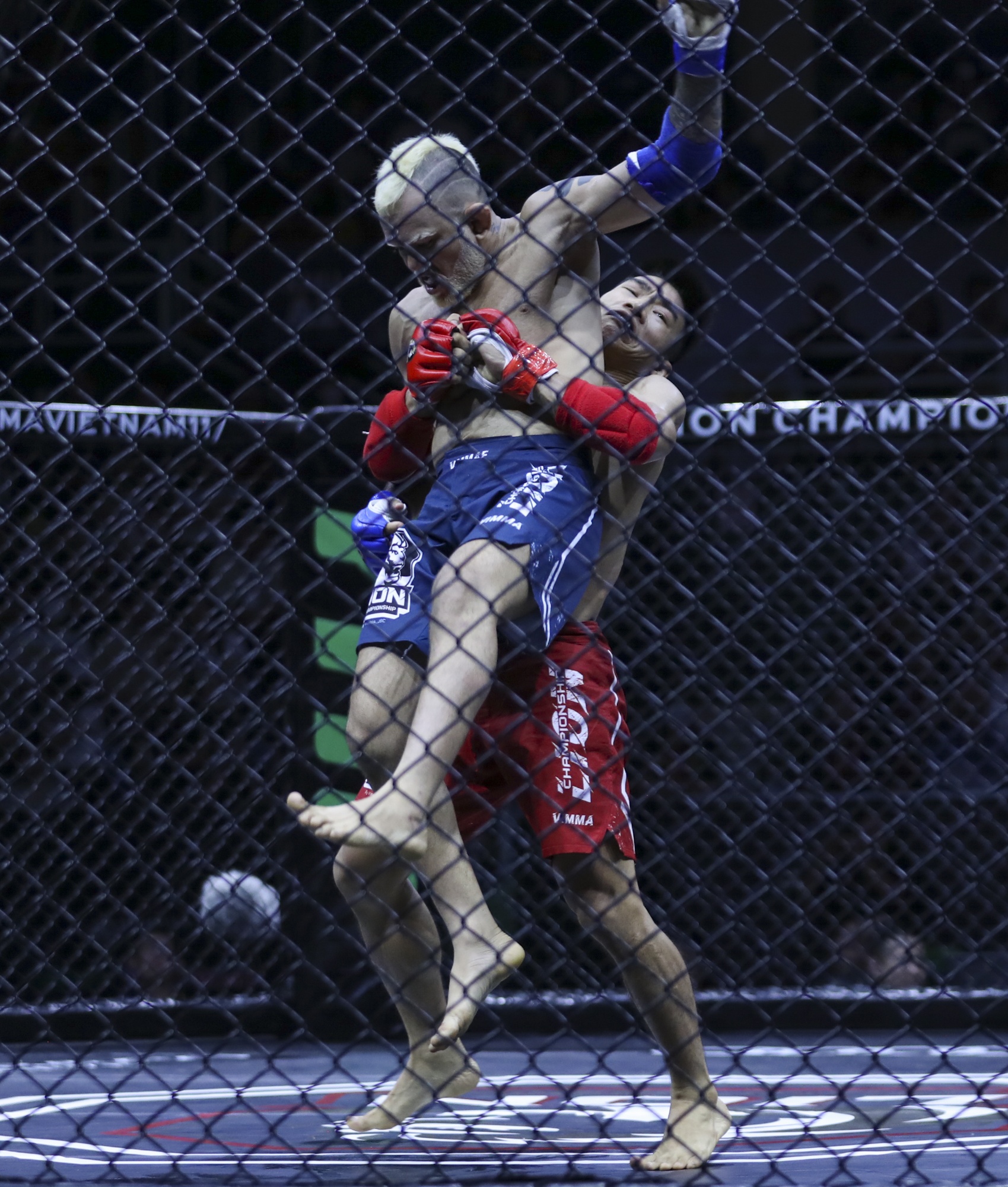 LION Championship anh 4