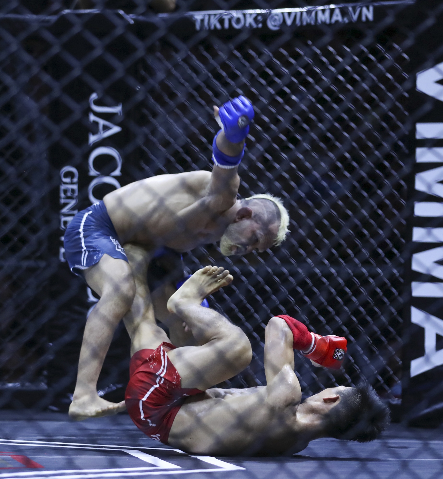 LION Championship anh 3