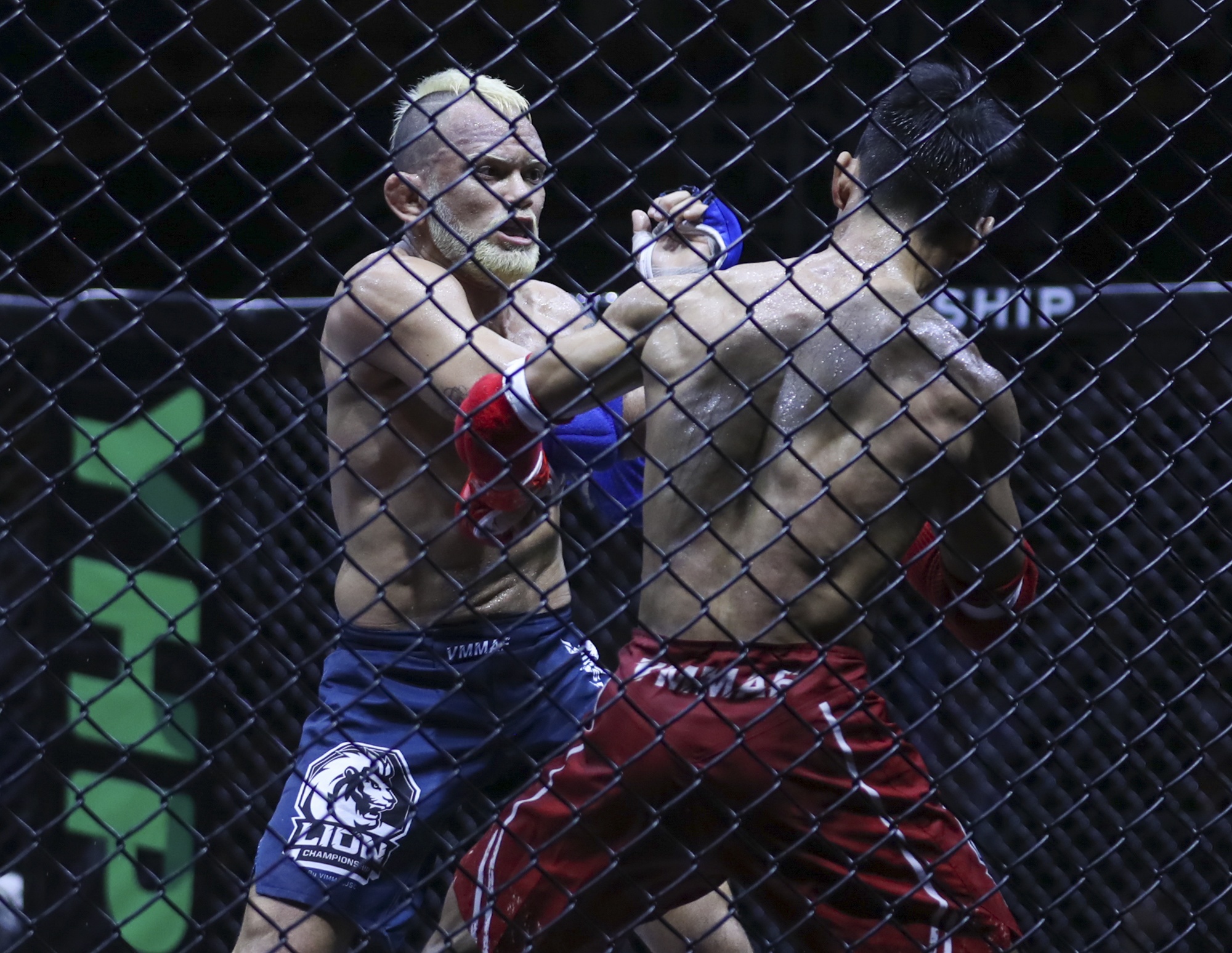 LION Championship anh 2