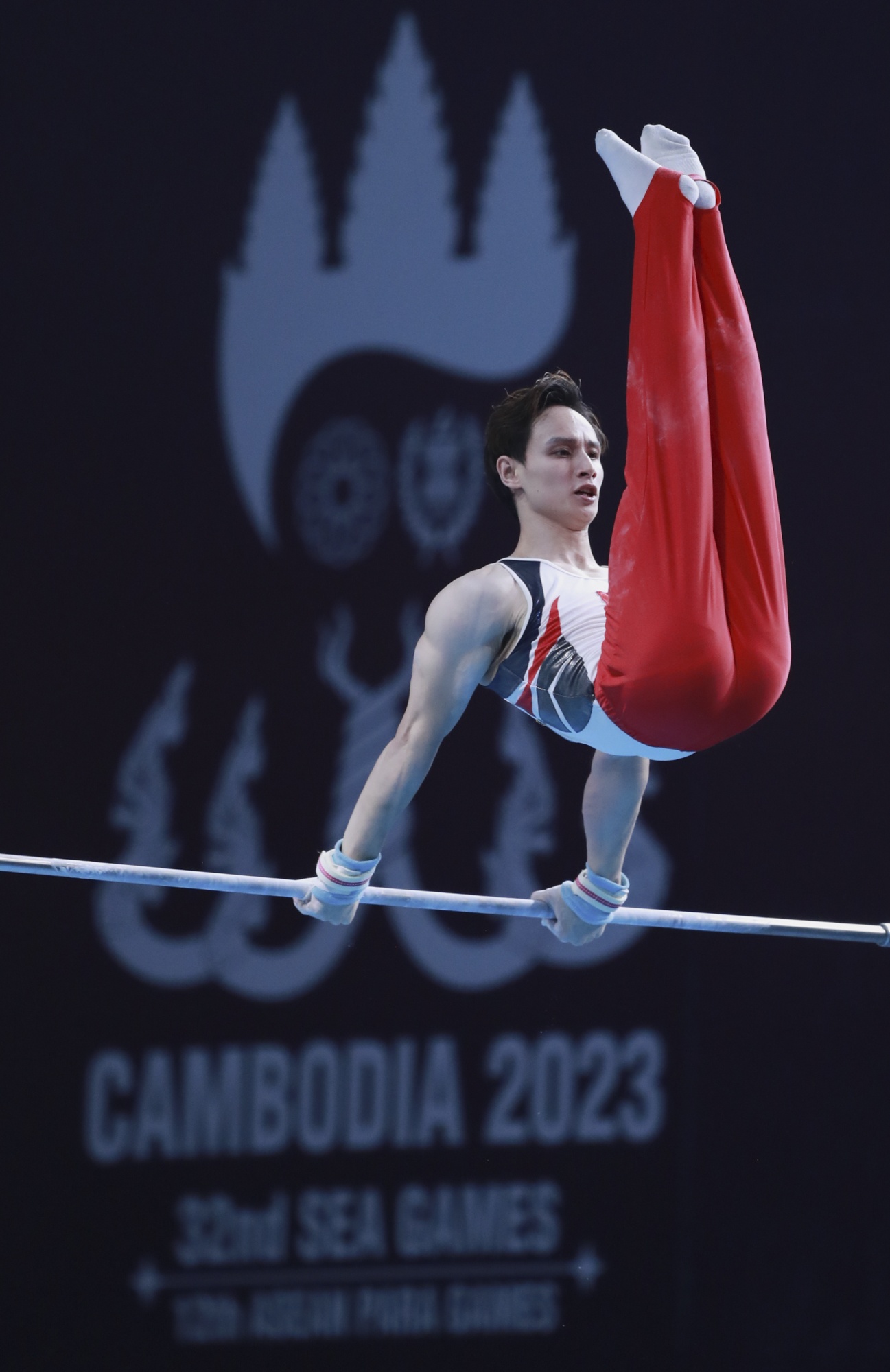 Dinh Phuong Thanh anh 5