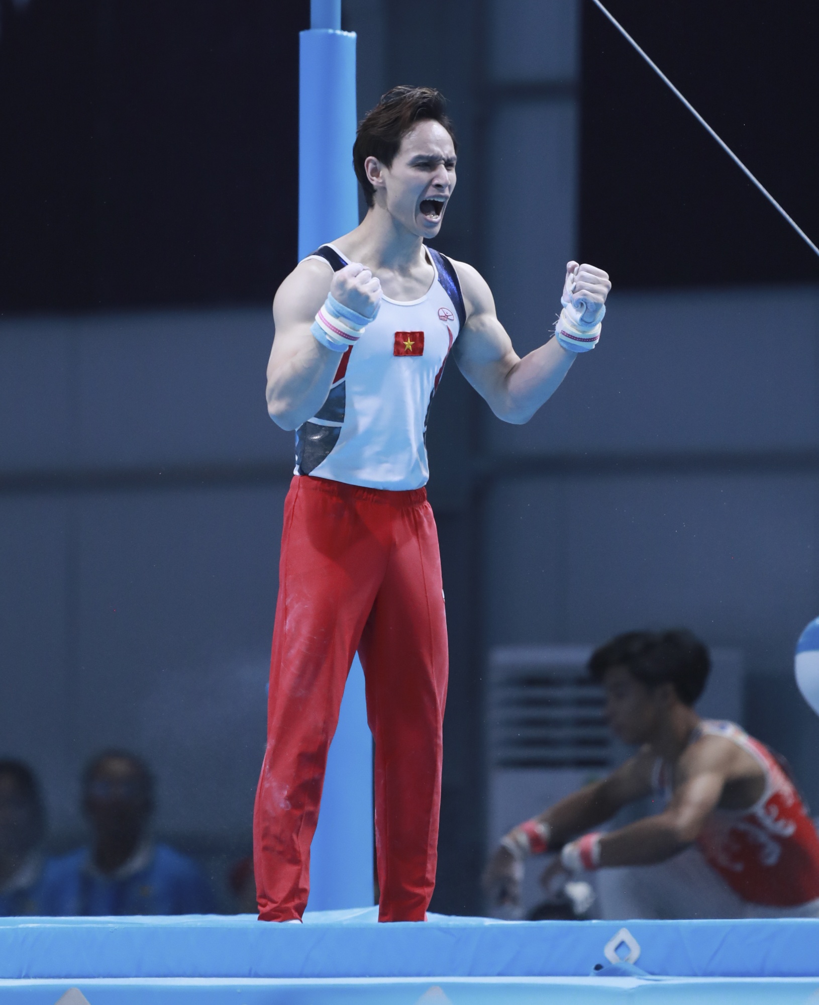 Dinh Phuong Thanh anh 4