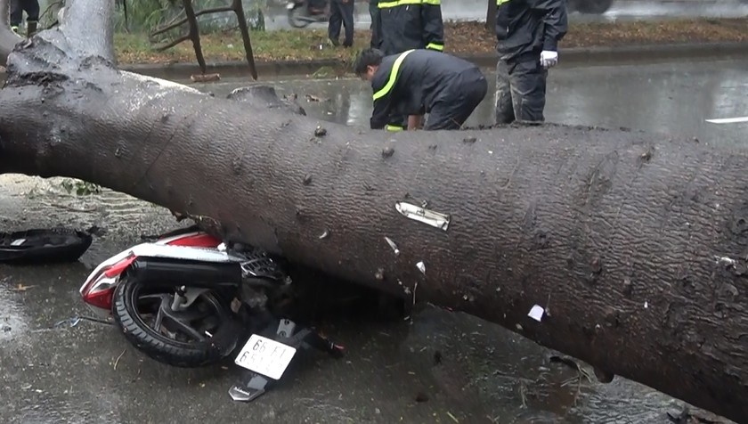 Cay nga de xe may o Sai Gon, mot nguoi thiet mang hinh anh