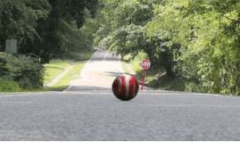 Hang tram con doc tren the gioi noi xe co the tu chay nguoc len hinh anh