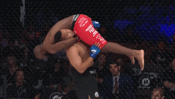 Vi sao MMA la vua cua cac mon doi khang? hinh anh