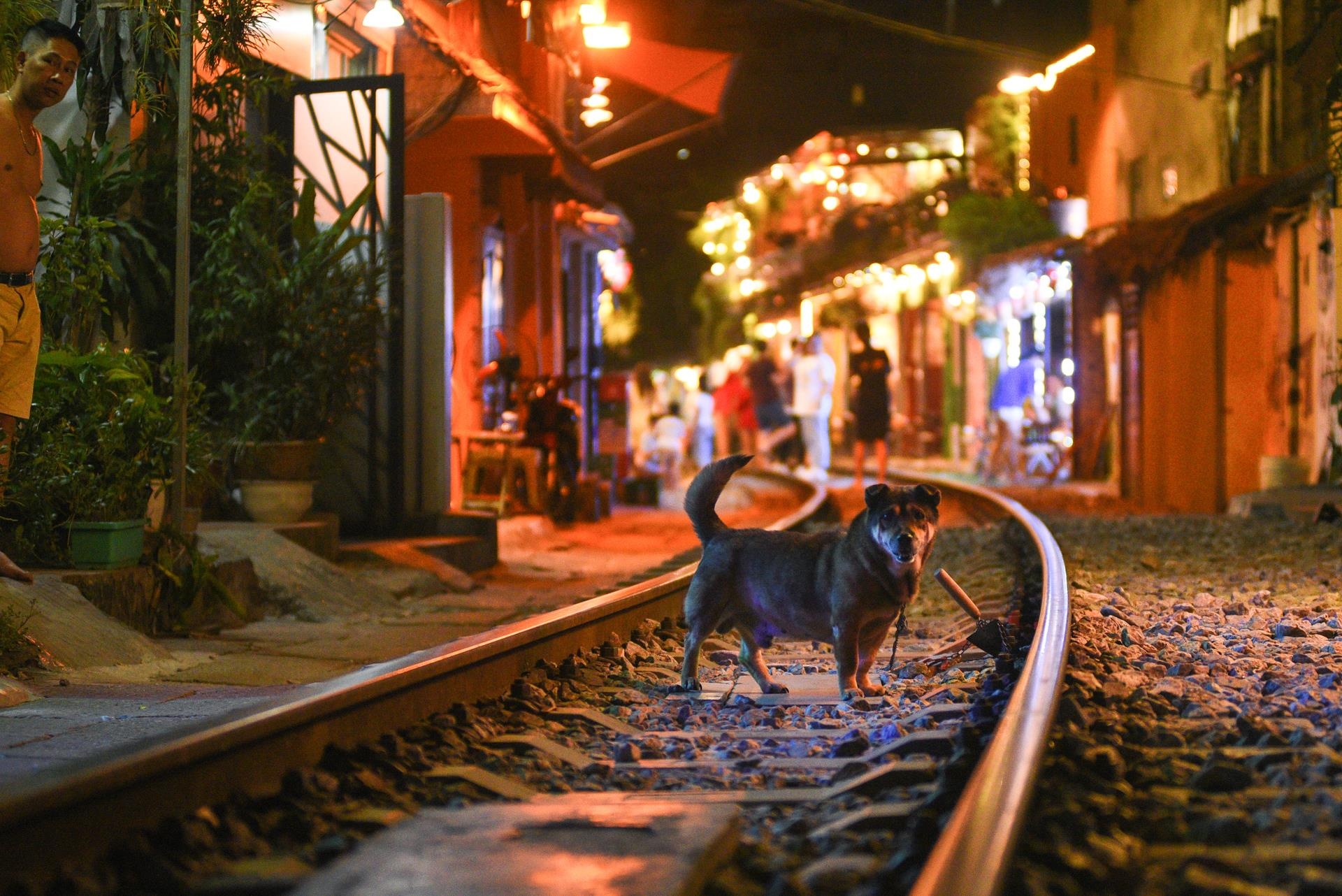 Phố du lịch đường tàu Hà Nội ảnh 37 Pho du lich duong tau Ha Noi anh 37