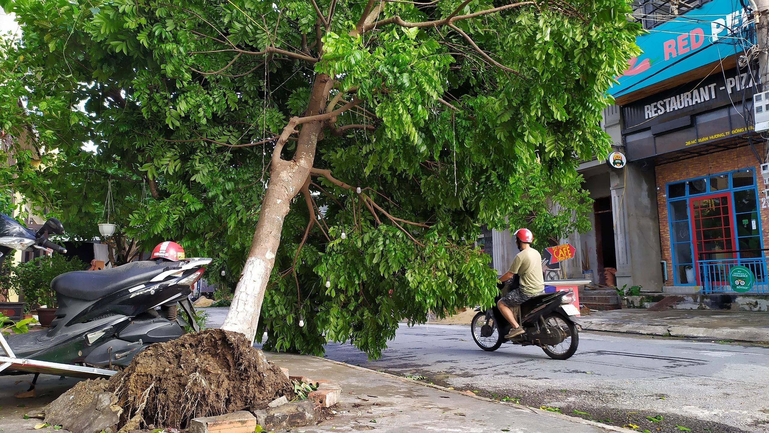 Nguoi dan tam bien Nhat Le sau bao so 4 anh 12