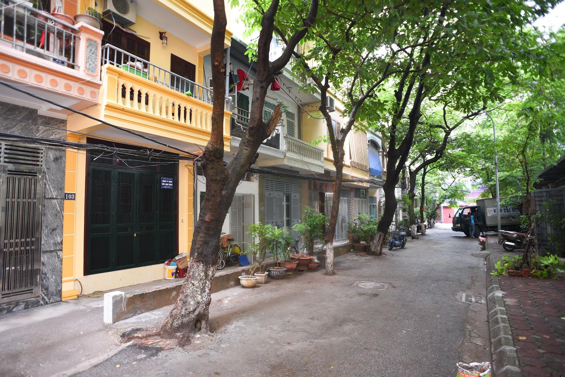 90% cu dan roi di vi tham hoa chay Rang Dong anh 5