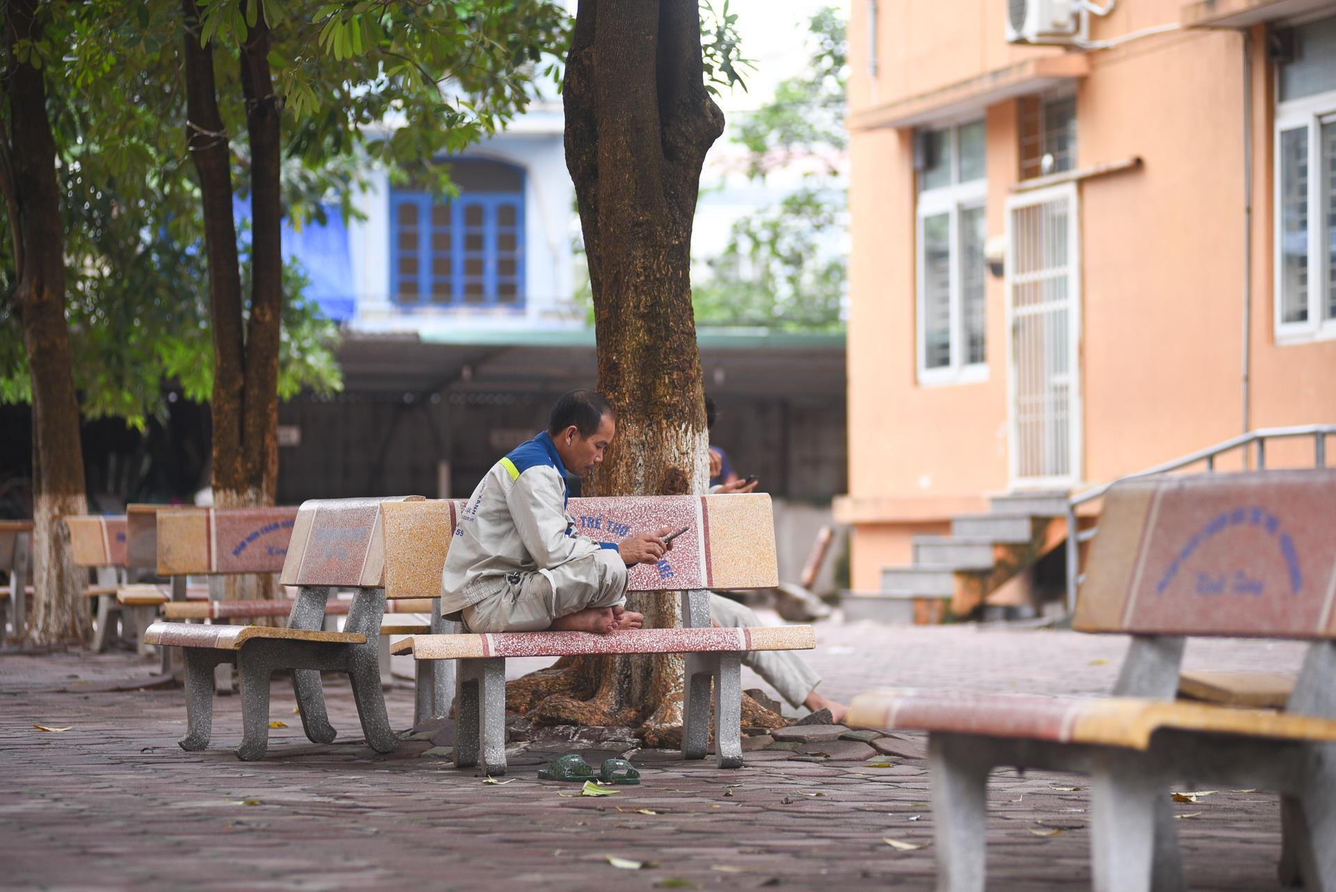 90% cu dan roi di vi tham hoa chay Rang Dong anh 6