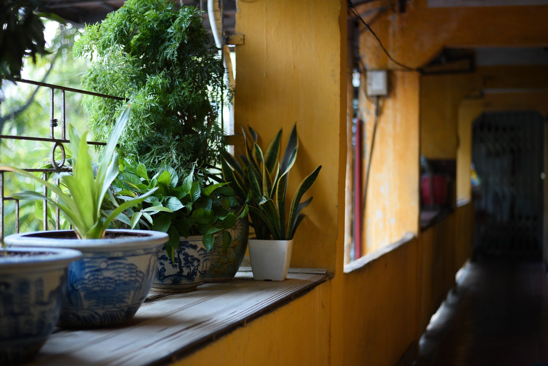 Nhip song Ha Noi anh 19