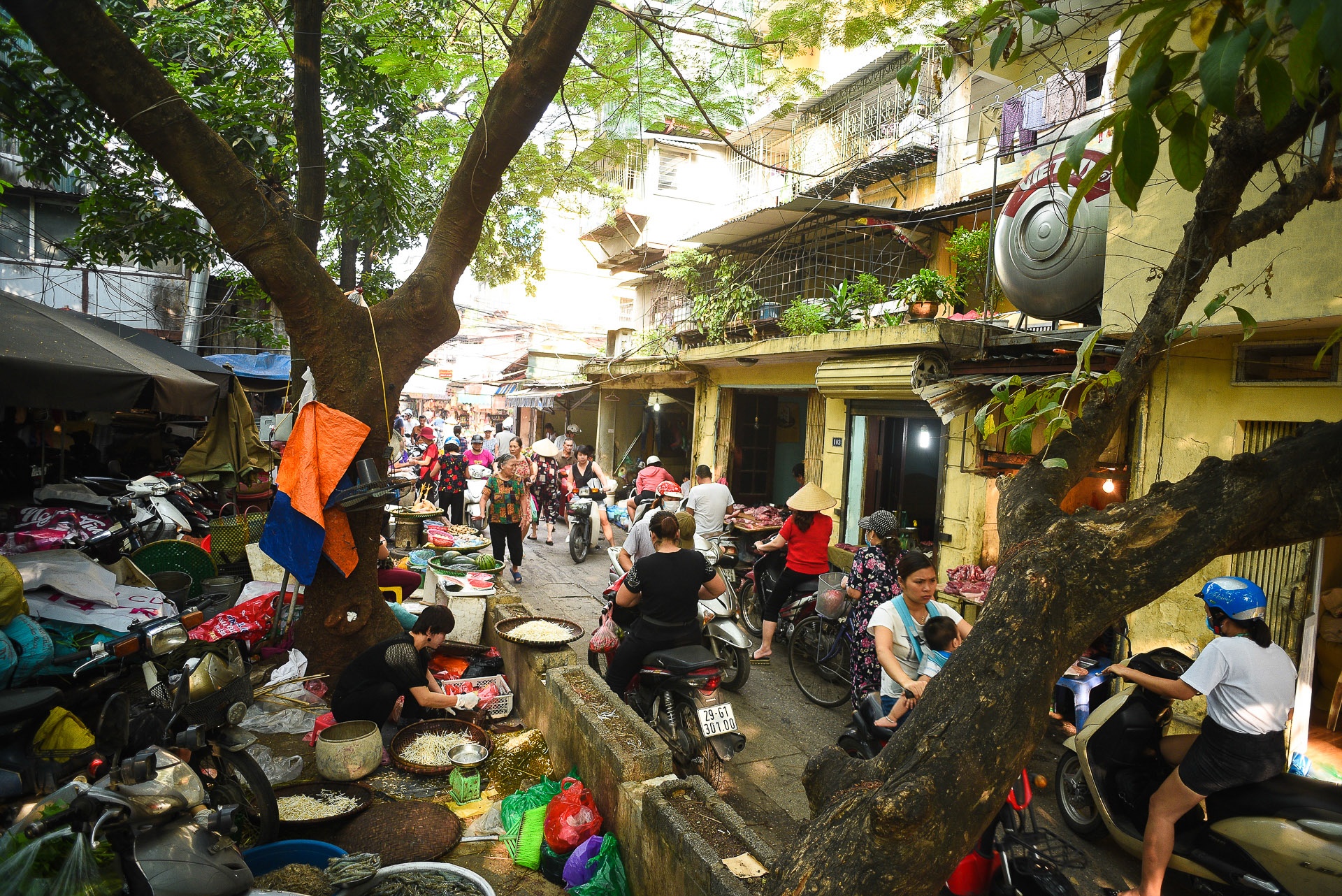 Nhip song Ha Noi anh 9