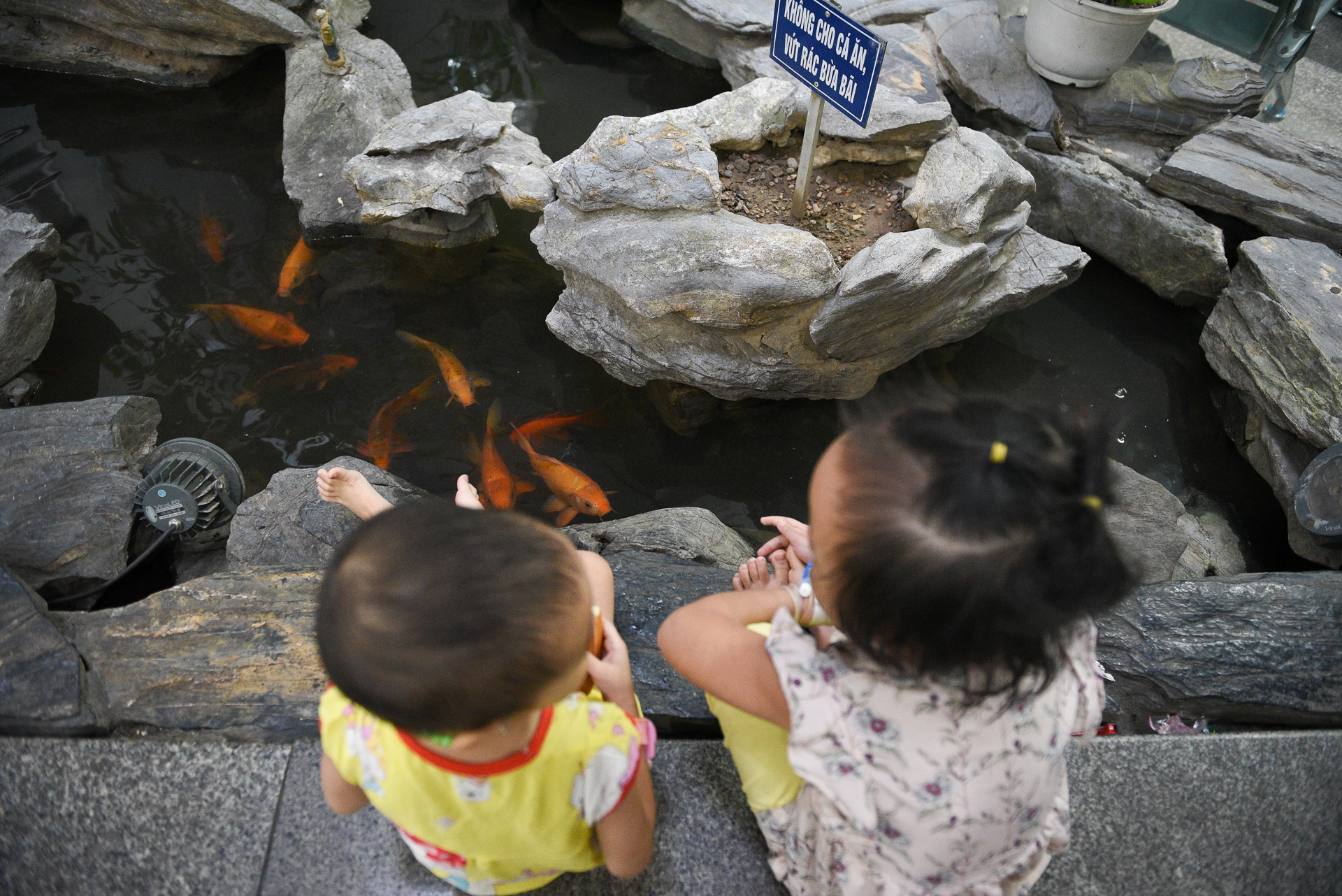 Co be ung thu mau trinh dien trong dem Vitnam Fashion Week 2019 anh 26