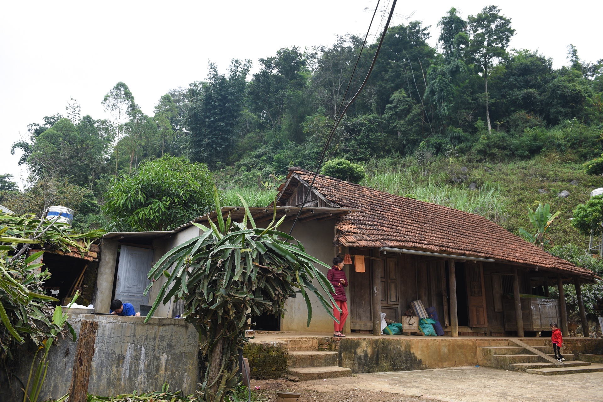 Co be ung thu mau trinh dien trong dem Vitnam Fashion Week 2019 anh 28