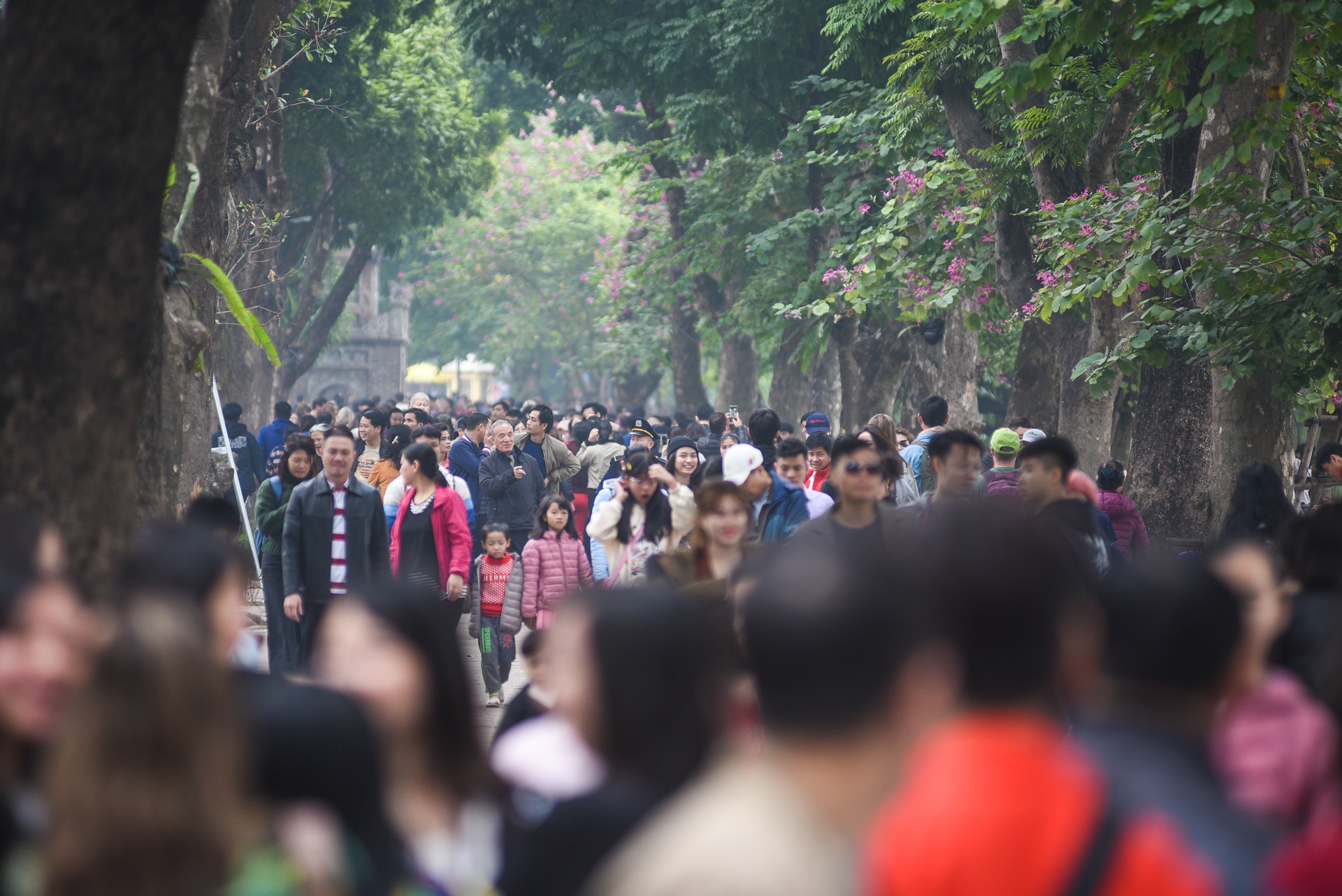 Gioi tre Ha Noi xuong pho don Tet Duong lich anh 1