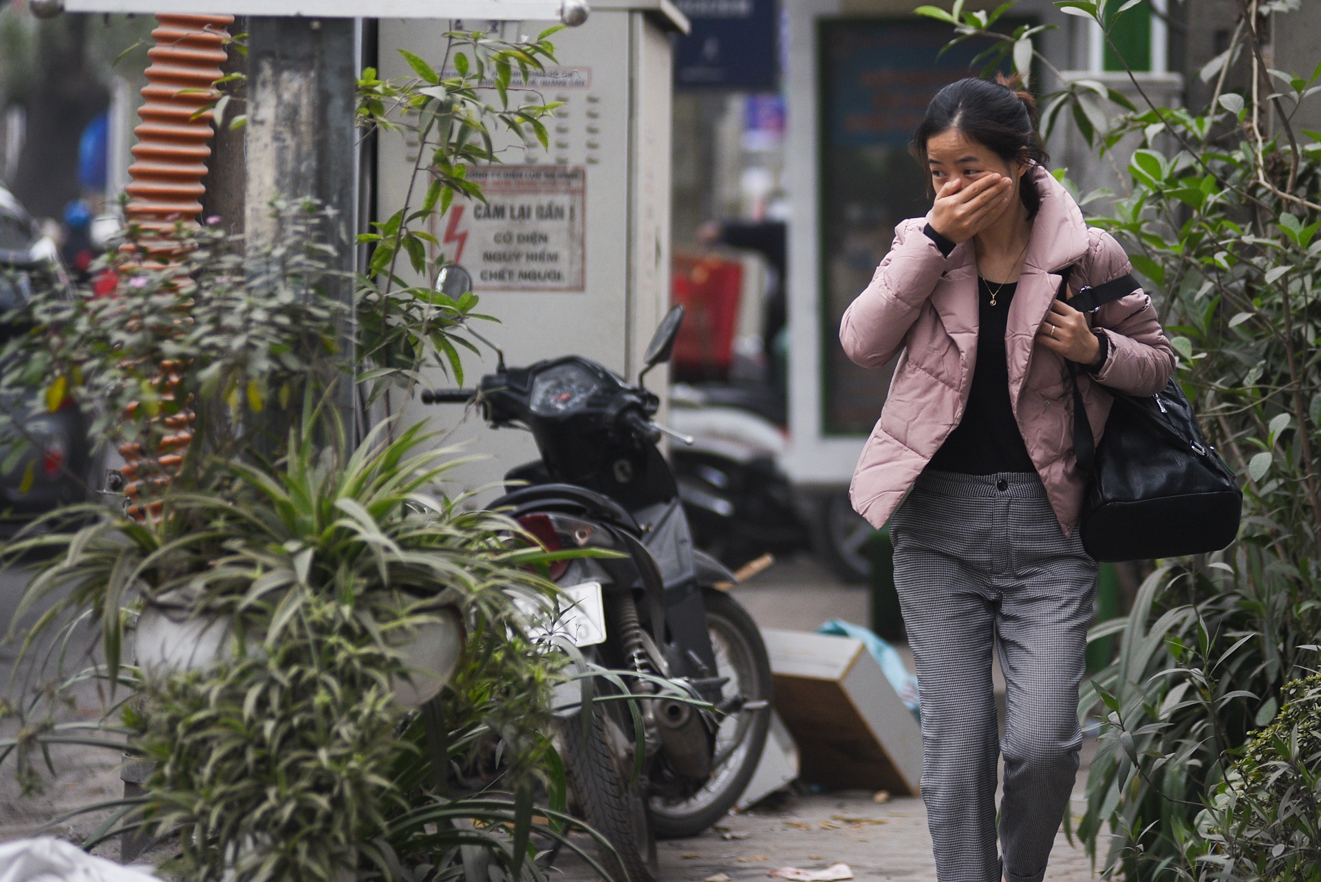 cai tao duong pho cuoi nam tai Ha Noi anh 4